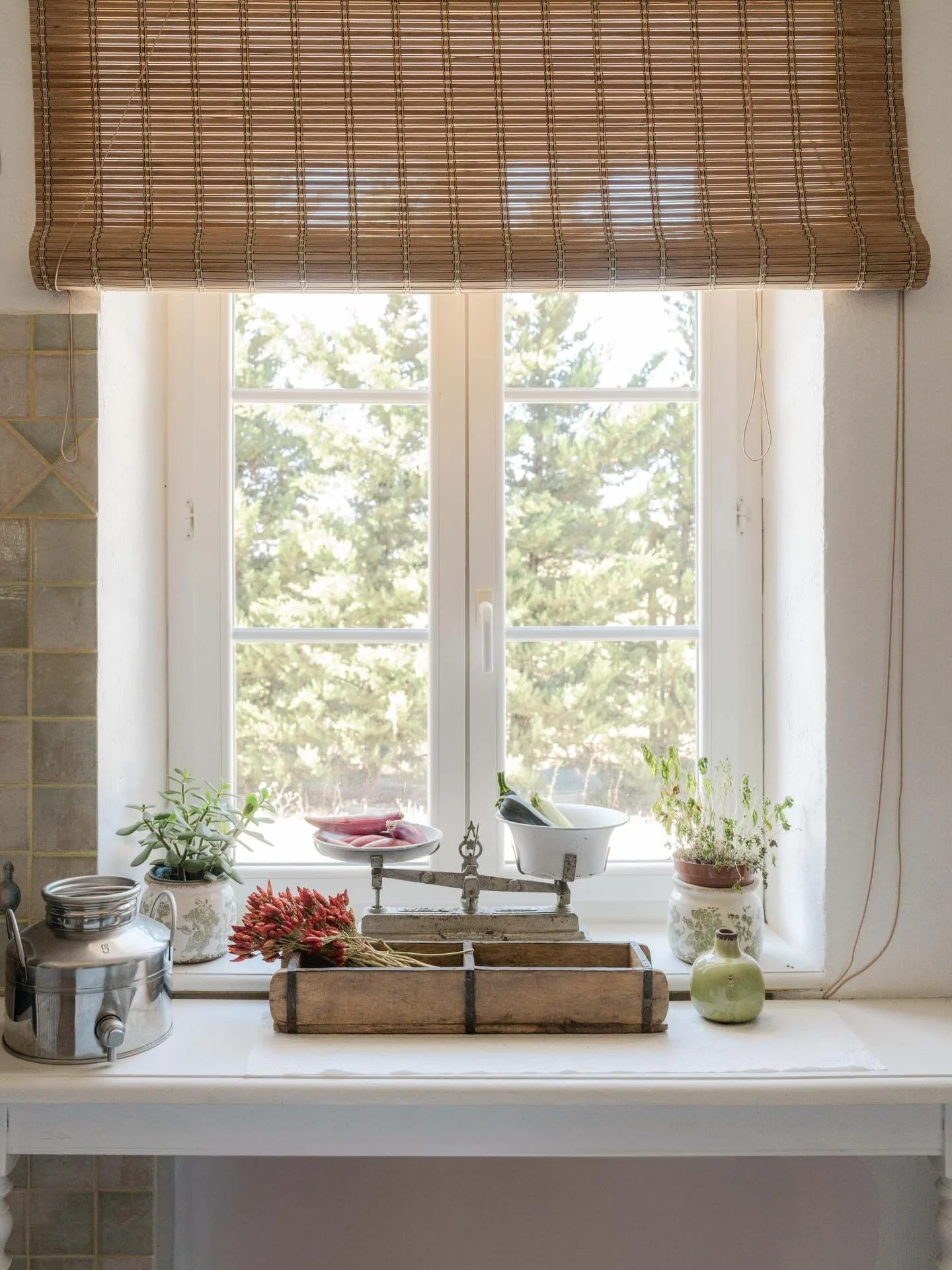 Retrouver avec bonheur le @masdelaterre en ce d&eacute;but de saison proven&ccedil;ale ☀️
La lumi&egrave;re de printemps 🌿 La cuisine qui reprend du service 🍽️ Le chat Grenadine 🐾
Et le soleil qui s&rsquo;installe doucement&hellip;

#provence #lub