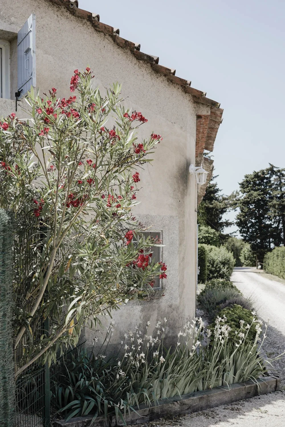 Le-mas-de-la-terre-maison-d-hotes-provence-l-isle-sur-la-sorgue-MLN-Demeautis-Photographe-8.jpg