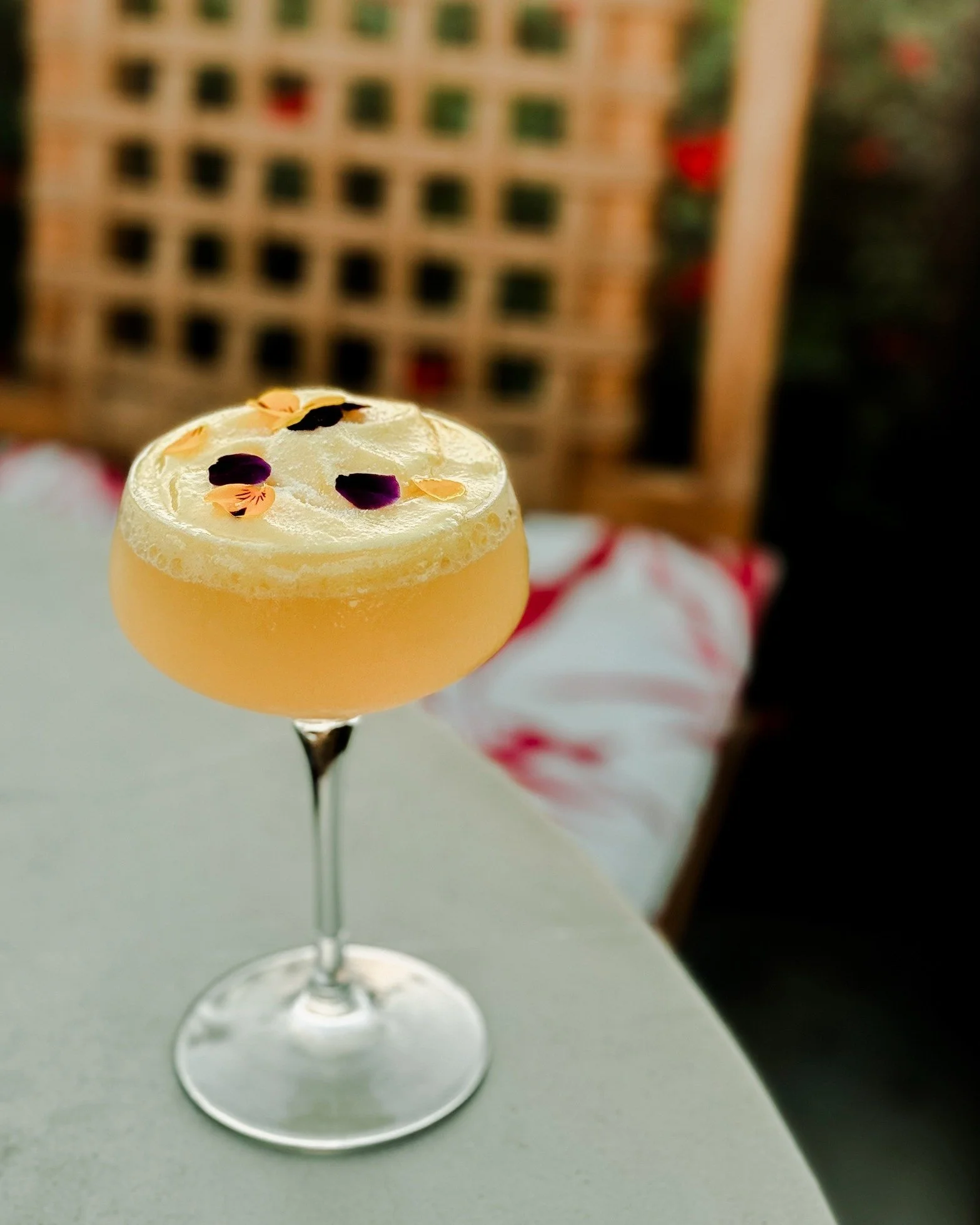 Cocktails that feel like a summer garden in a glass.
Each sip layered, botanical, and beautiful&mdash;just like the hotel itself.

#KimptonCocktails #KimptonAyslaMallorca #MallorcaBars #BoutiqueHotelVibes #LuxuryTravel #CraftCocktails #DesignLovers #