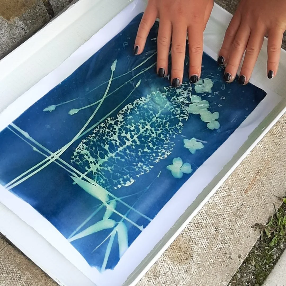 Cyanotype