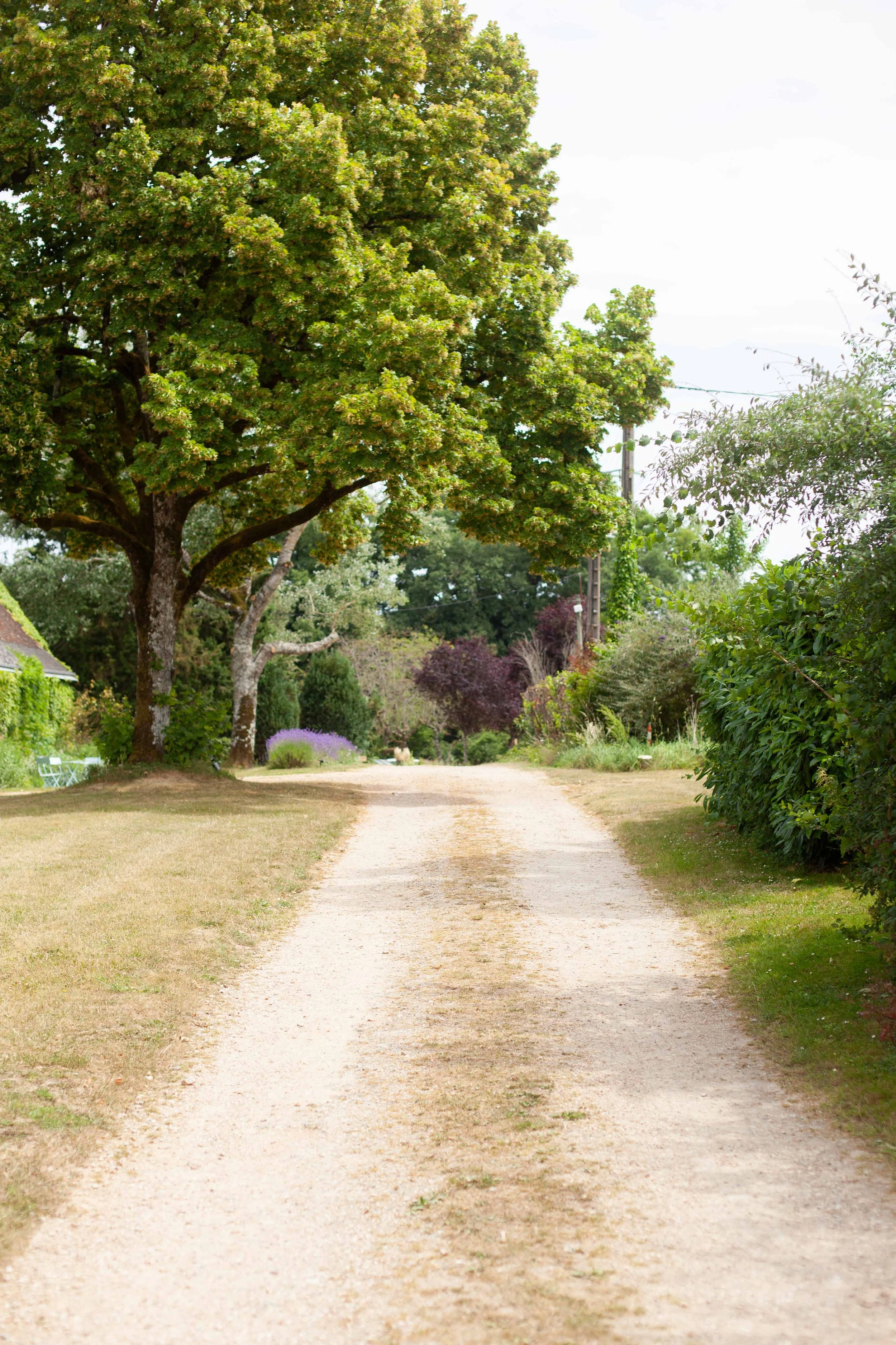 Préparatifs - Mariage Bertrand & Alexis - Benoit SYLLA Photographe Mariage Tours