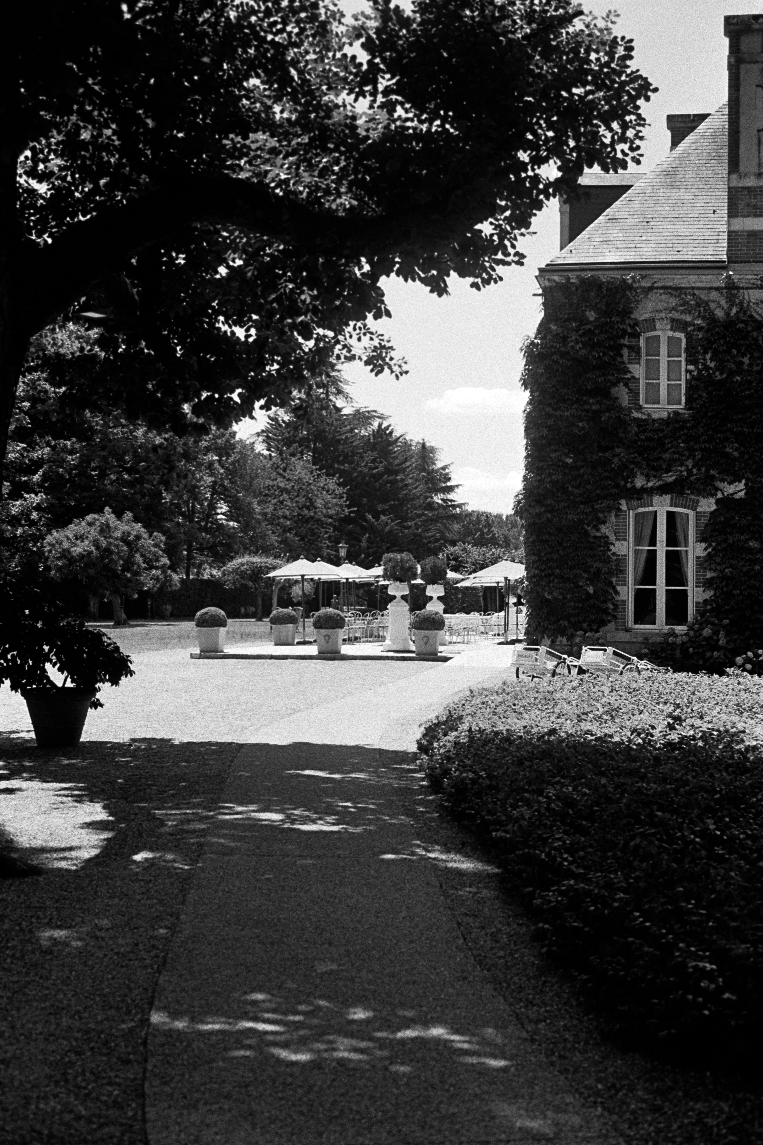 Mariage Gene & Nick - Benoit SYLLA Photographe Mariage Argentique Tours