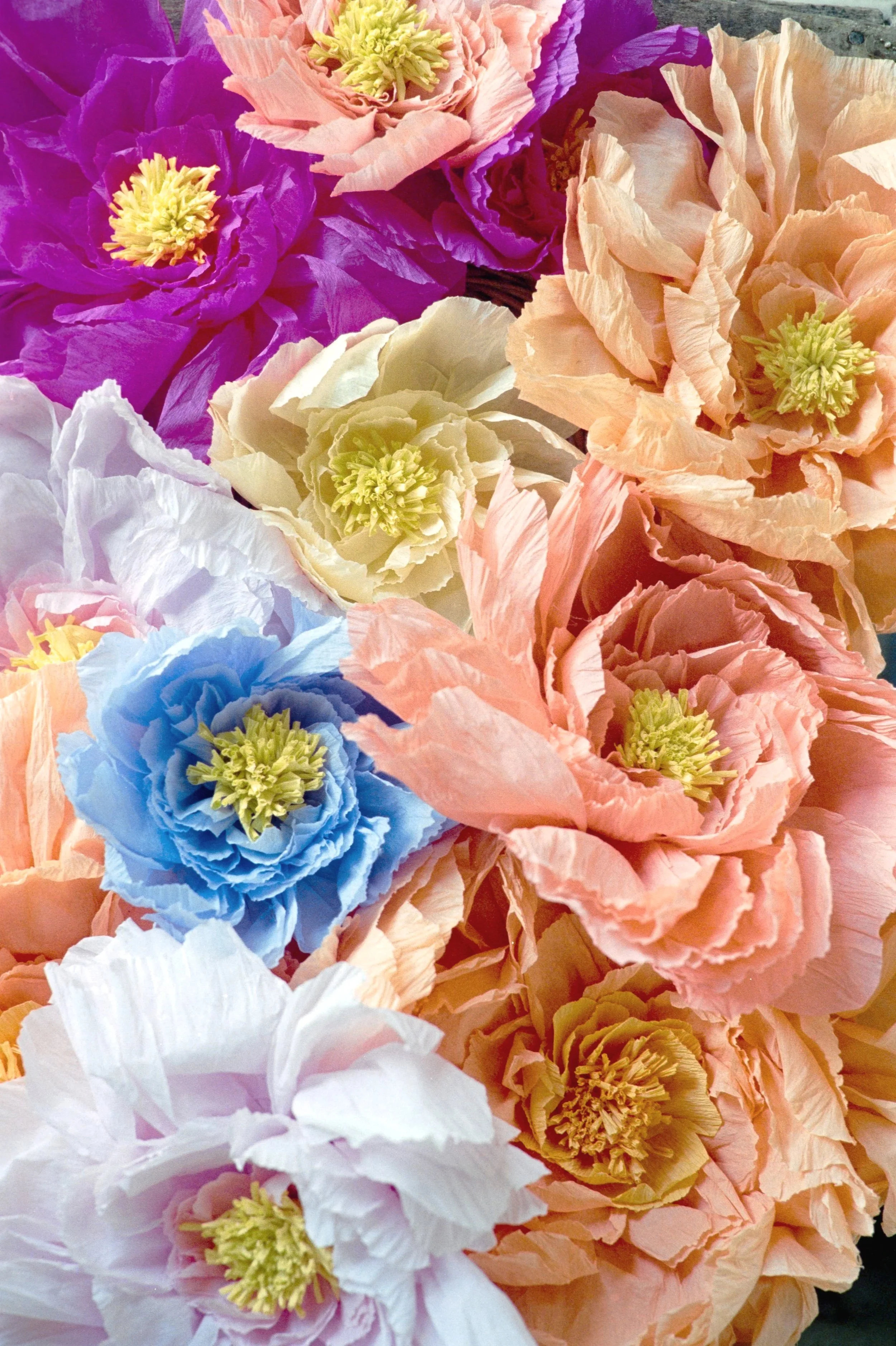 Mariage Claire & Colin - Benoit SYLLA Photographe Mariage Argentique Tours