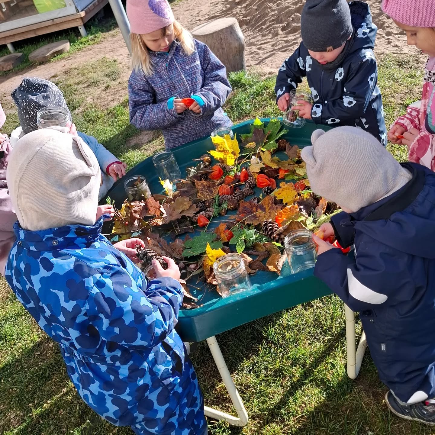 Sutalpinome rudenį į stiklainius! 🍁🍂🌞