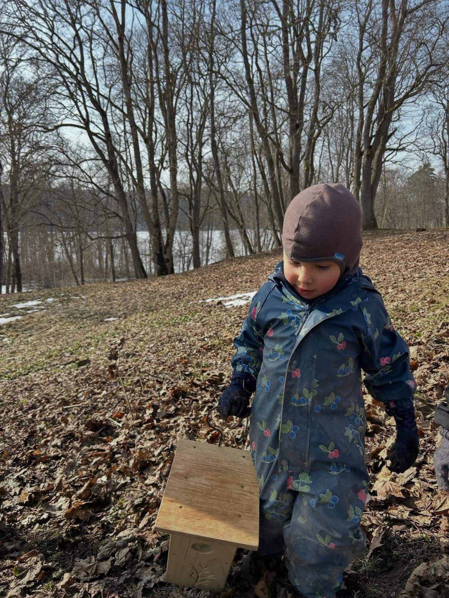 Pauk&scaron;čiai grįžta namo!

Prisijungėme prie inkilų kėlimo &scaron;ventės &bdquo;Pauk&scaron;čiai grįžta namo&ldquo; &ndash; &scaron;iandien mūsų darželio kieme jau pakabinome du inkilus ir laukiame sugrįžtančių pauk&scaron;telių. 🌿 Dėkojame vis