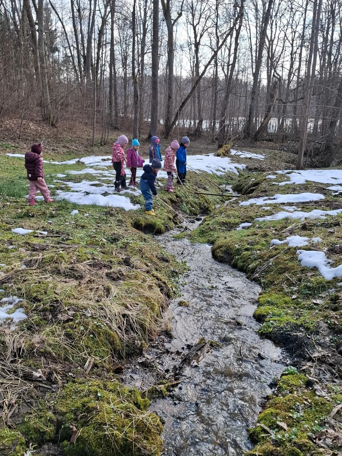 &Scaron;iandien &scaron;venčiame Žemės dieną 🌍💛 Sodiname, tyrinėjame ir mokomės rūpintis gamta 💚 🌿 #ŽemėsDiena #DarželioDžiaugsmai