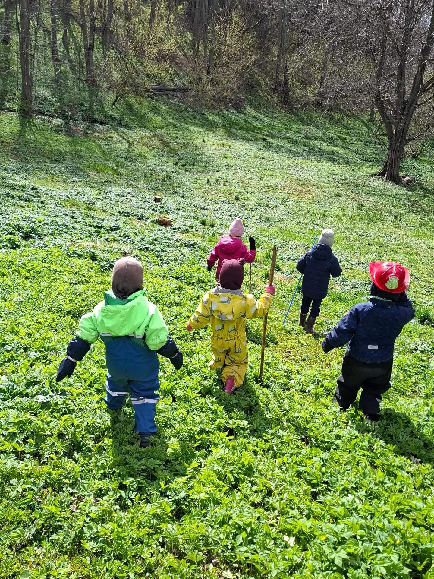 Geriausia vasaros patirtis vaikams - gamtos darželyje! ☀️

Prisijunkite taip, kaip patogu jums &ndash; lankymas pagal jūsų poreikius, be įsipareigojimų ilgam laikui.

Leiskite vaikams augti, tyrinėti ir džiaugtis vasara - mi&scaron;ke, pievose ir gry