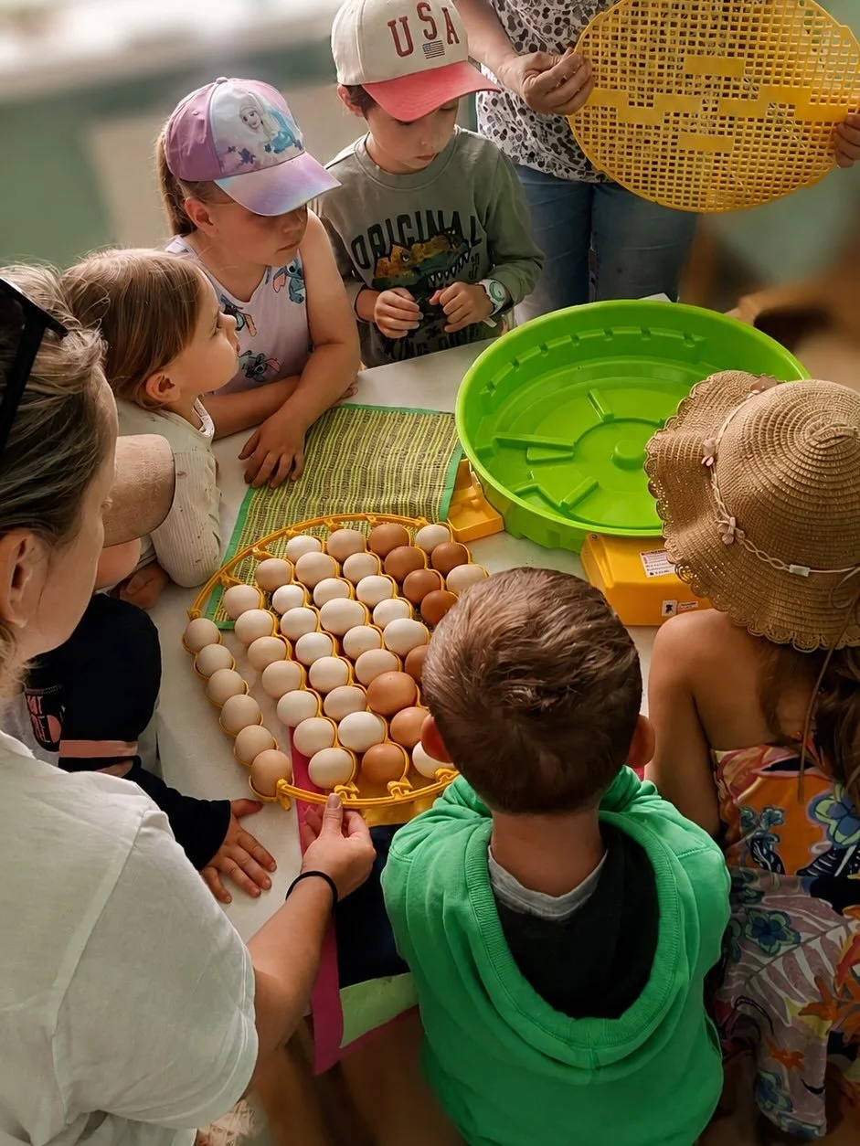 🐣Darželyje prasidėjo stebuklingas laukimas!
Kartu su vaikais pradėjome perinti vi&scaron;čiukus ir kasdien stebime gyvybės atsiradimo procesą. 
Kiekviena diena kupina klausimų, džiaugsmo ir laukimo: kada pasigirs pirmasis cypsėjimas?
🐥✨ #EdukacijaP