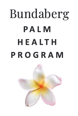 Bundaberg PALM Health Program