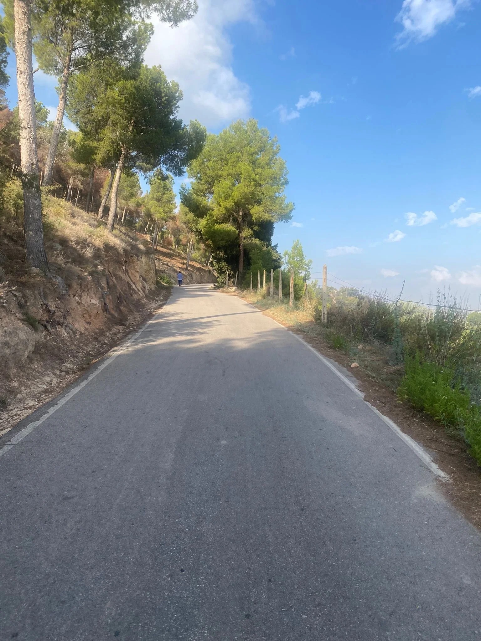 WhatsApp Image 2024-08-14 at 15.03.42_6d1dba1a.jpg