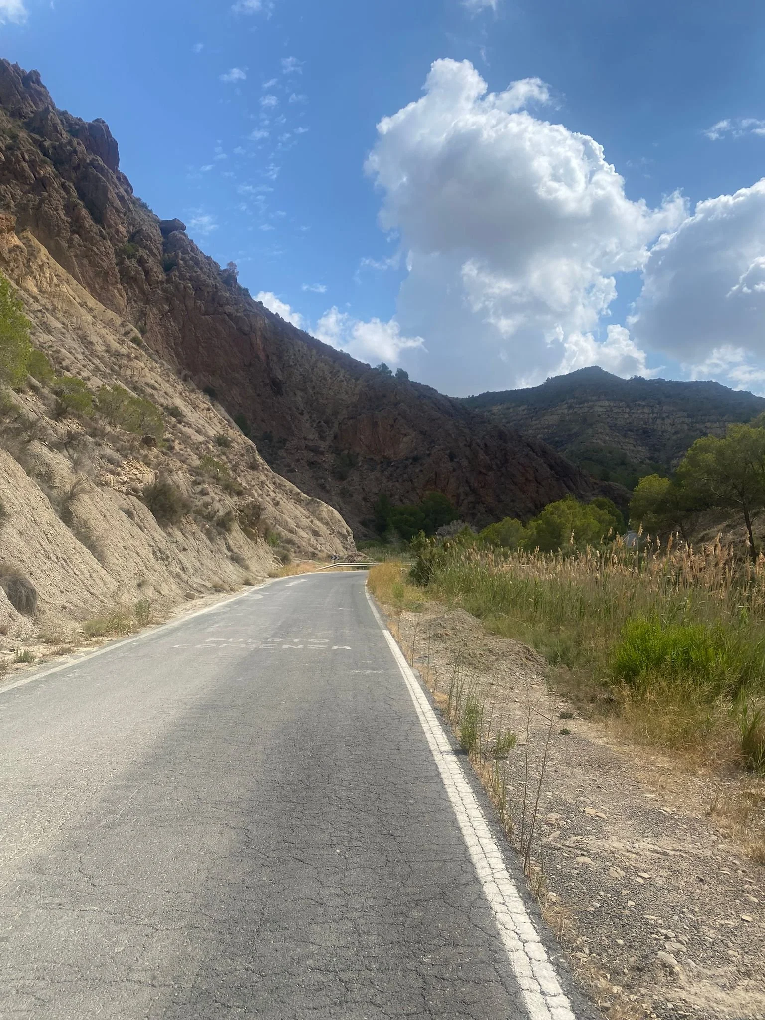 WhatsApp Image 2024-08-14 at 15.03.45_e6266e98.jpg