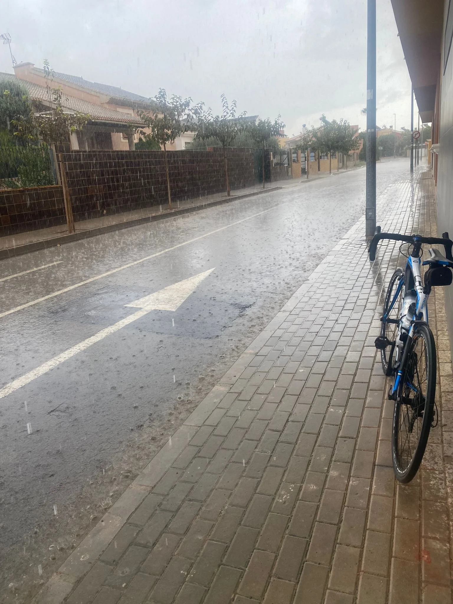 WhatsApp Image 2024-08-14 at 15.03.47_1f0eebd9.jpg