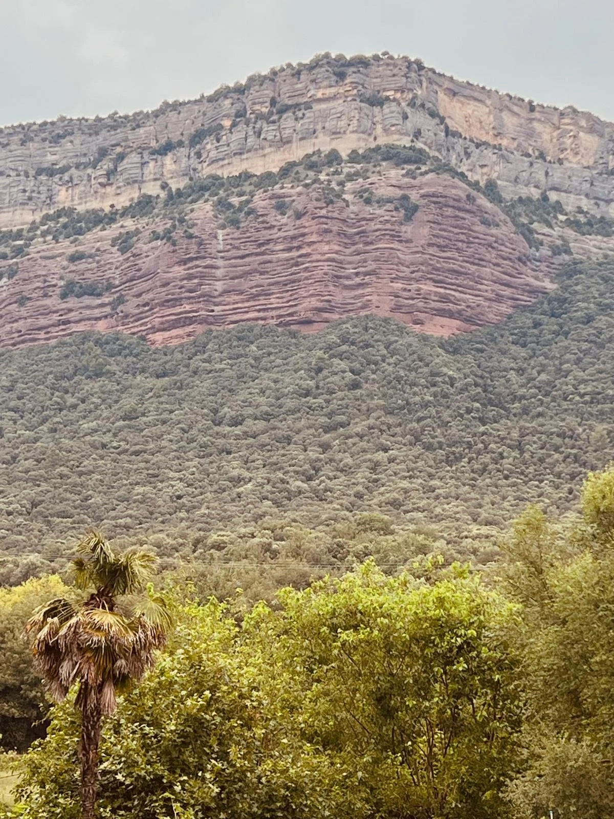 PHOTO-2025-08-13-19-35-12 4.jpg