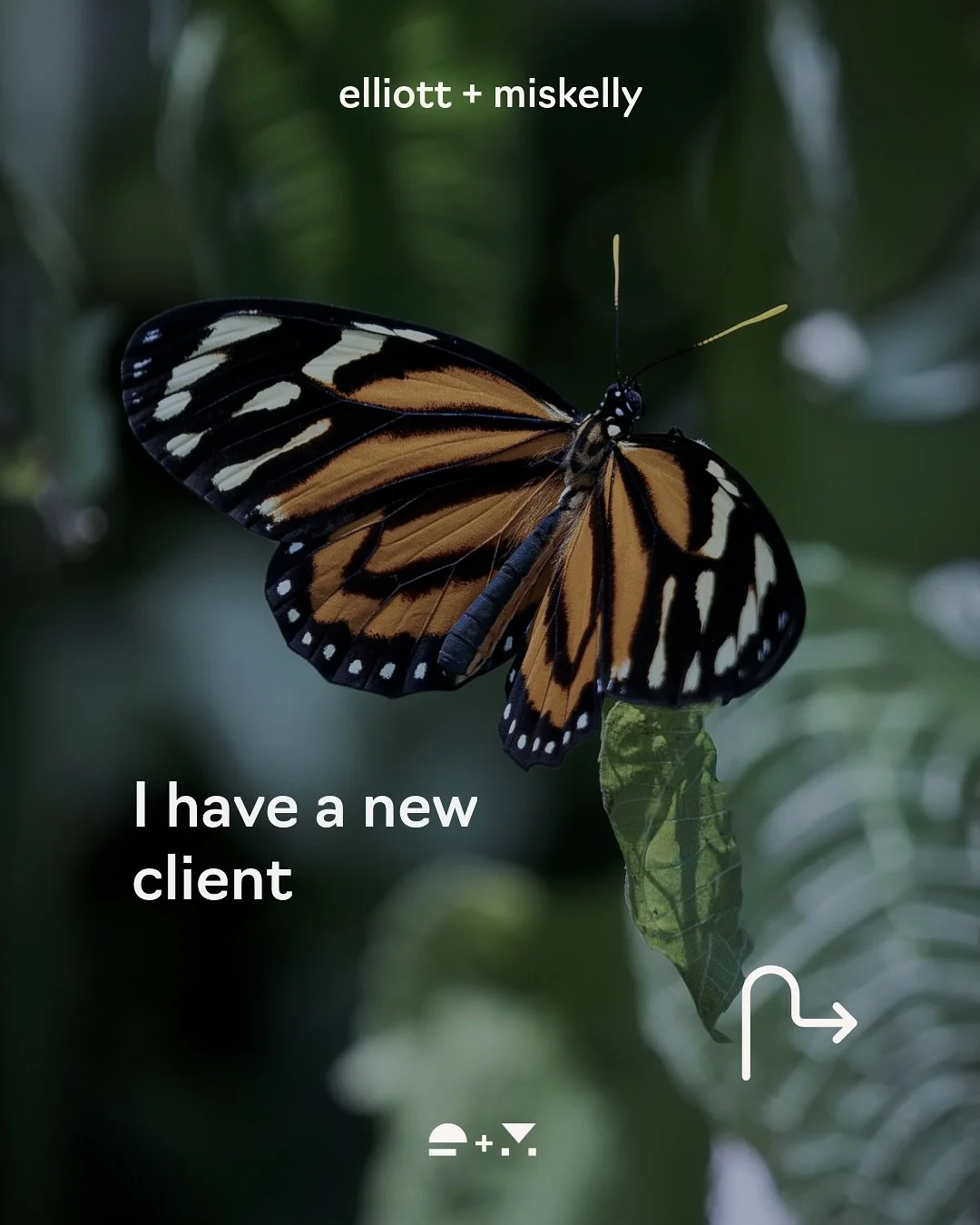 I have a new client&hellip; It&rsquo;s me.
I&rsquo;ve been in business for 10 years. Reaching this milestone has made me stop and think about how much has changed, and how much I&rsquo;ve grown alongside the brilliant businesses I&rsquo;ve worked wit
