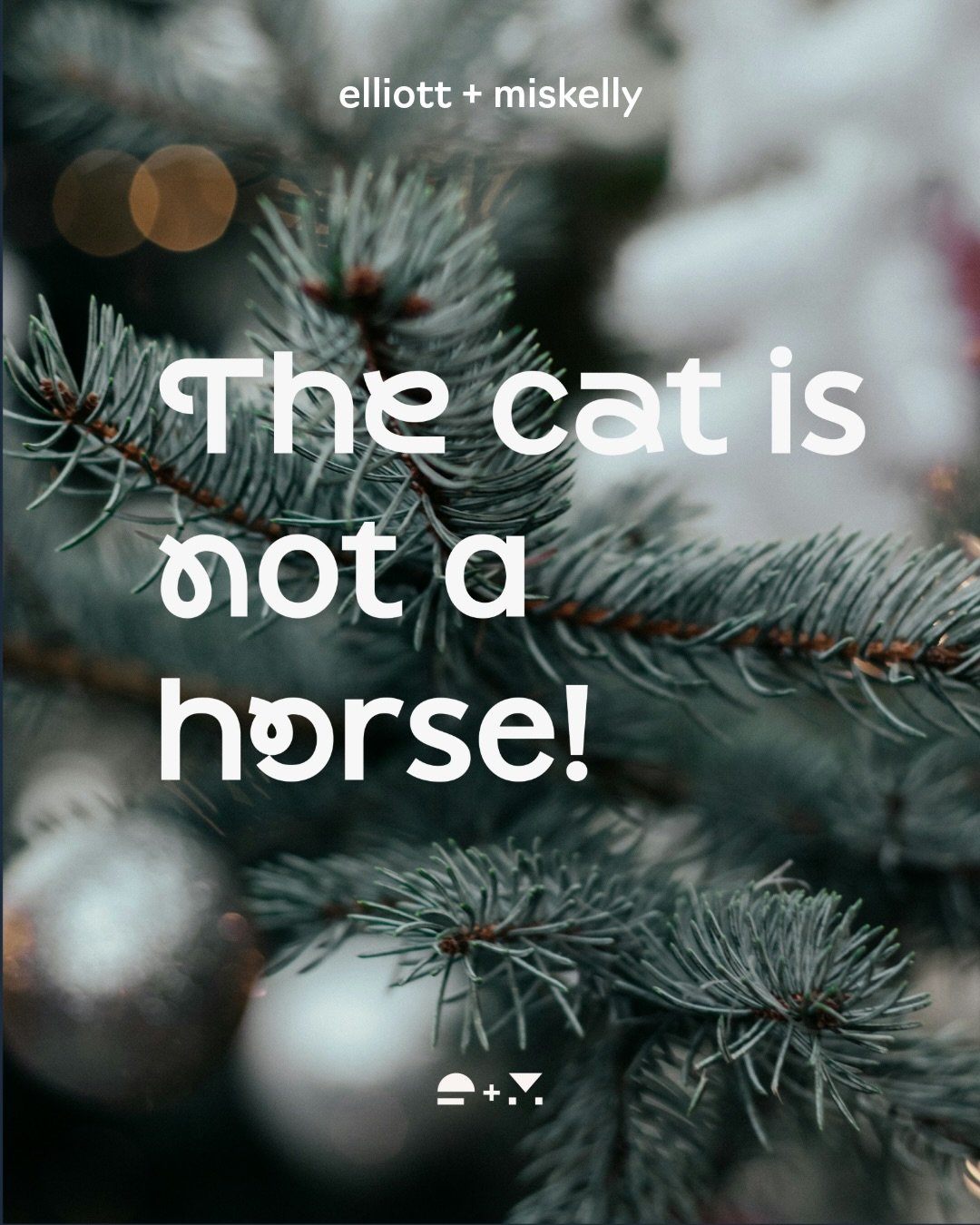 On repeat just now! 

Some phrases just land better in the right font.

Sans serif fonts with subtle flourishes are clean and legible, but still full of personality. Paired with the right visuals, they say a lot very quickly. In this case, a slightly