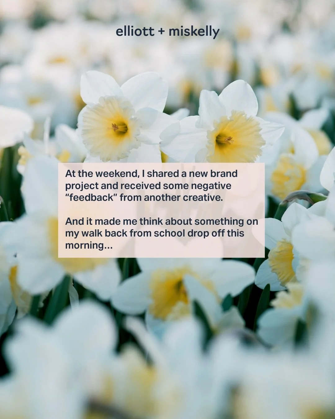 What do you do when you get knocked down? Turn it into an Instagram post! 

I&rsquo;m so fortunate that I have some brilliant projects on the go that will see me through to June, so if you&rsquo;re thinking about whats next for your brand, nows the t