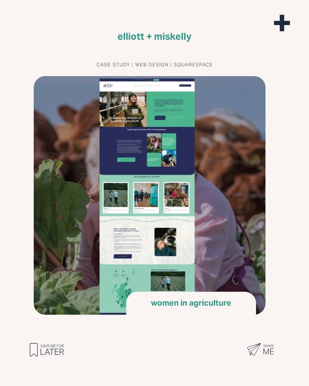 A recent Squarespace website redesign and refresh for Women in Agriculture Scotland.
One of the biggest pieces of feedback from the committee was that the old website no longer reflected the organisation they were becoming.

The previous WordPress we