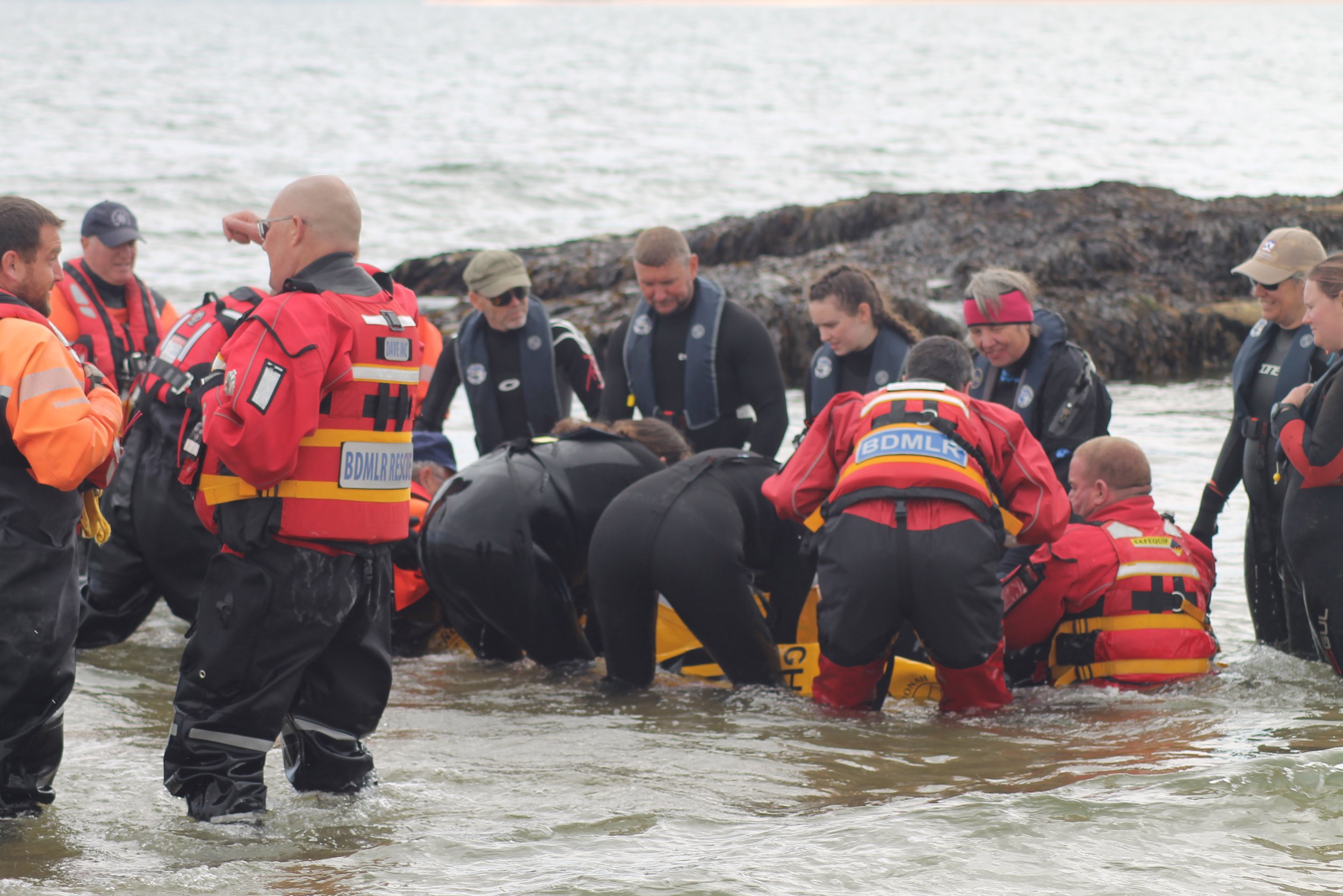 Attaching pontoons to the canopy on which the stranded whale has been placed, to help float the animal