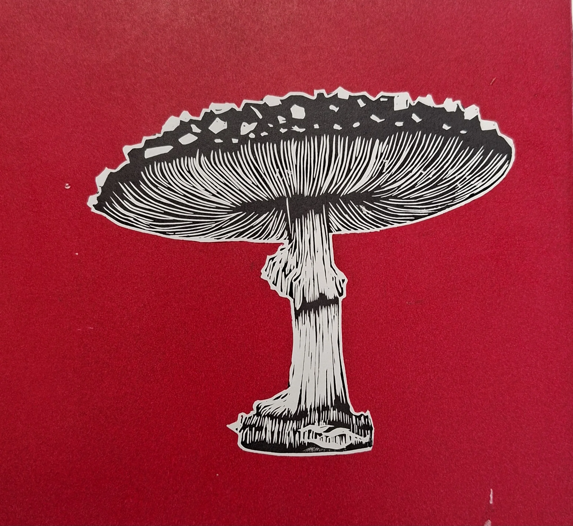 Term 4 Wednesday Evening Printmaking Class