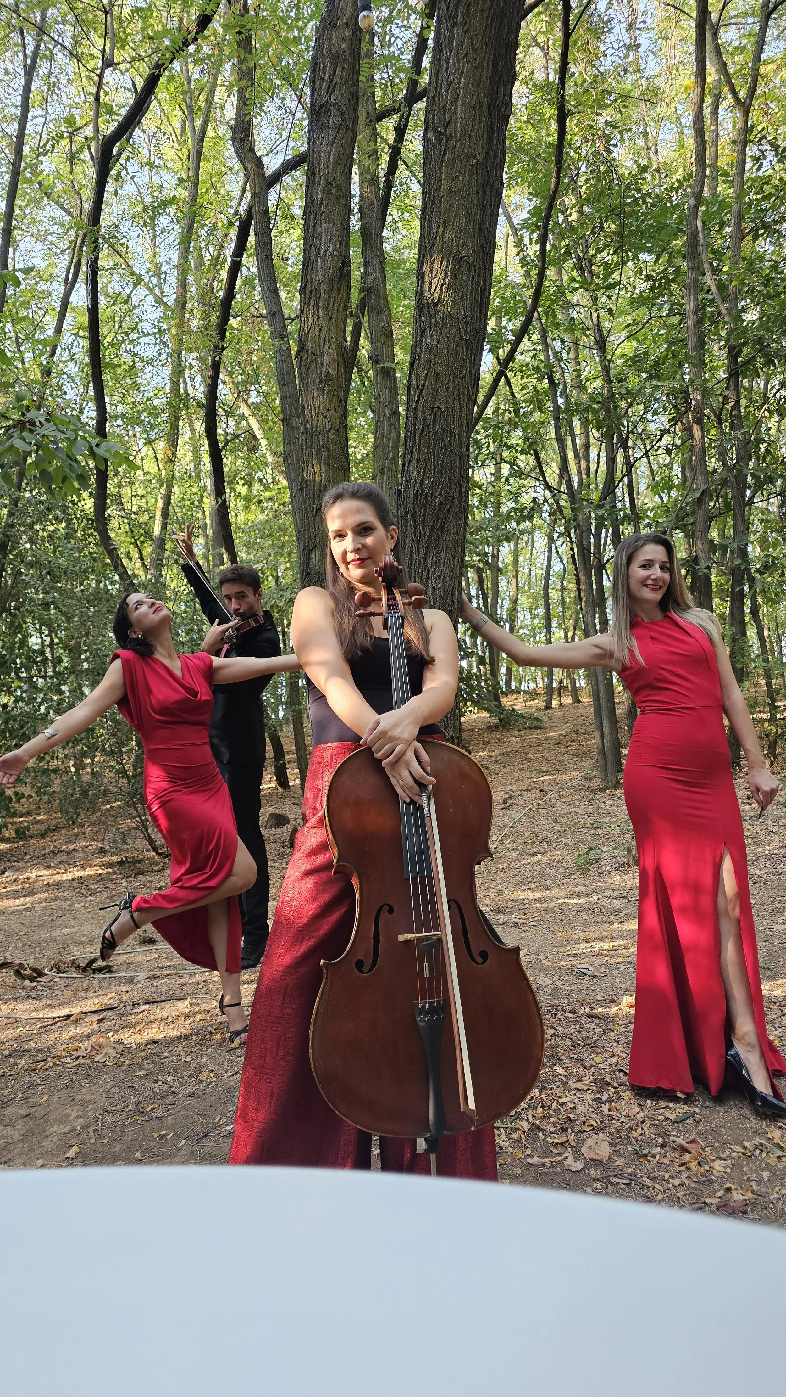 Pandora quartet - private event