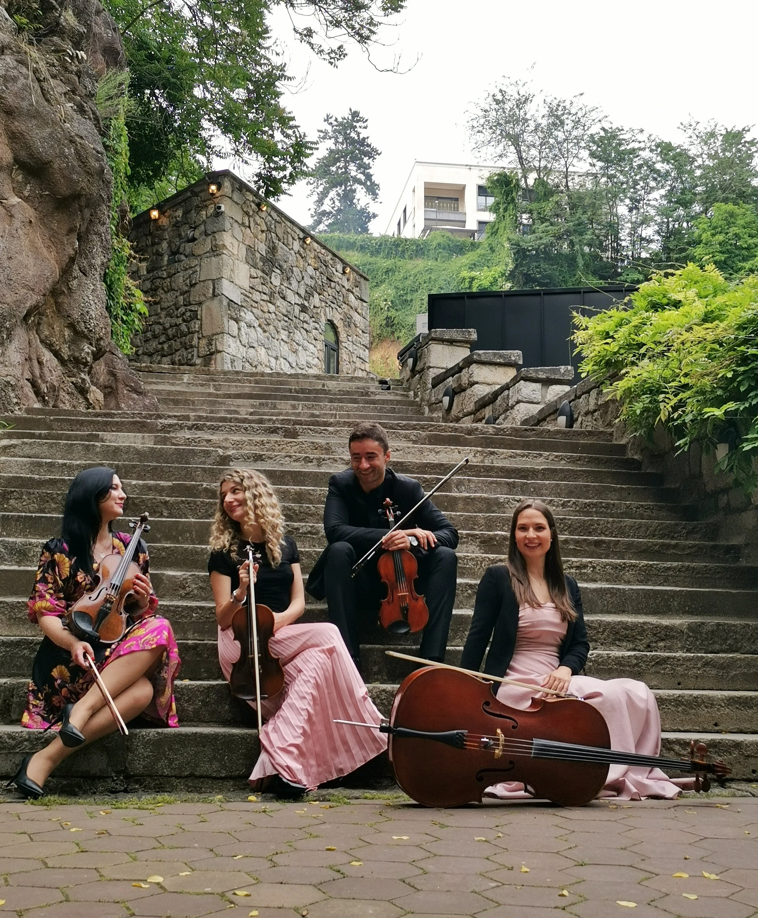 Pandora Quartet - Private Event
