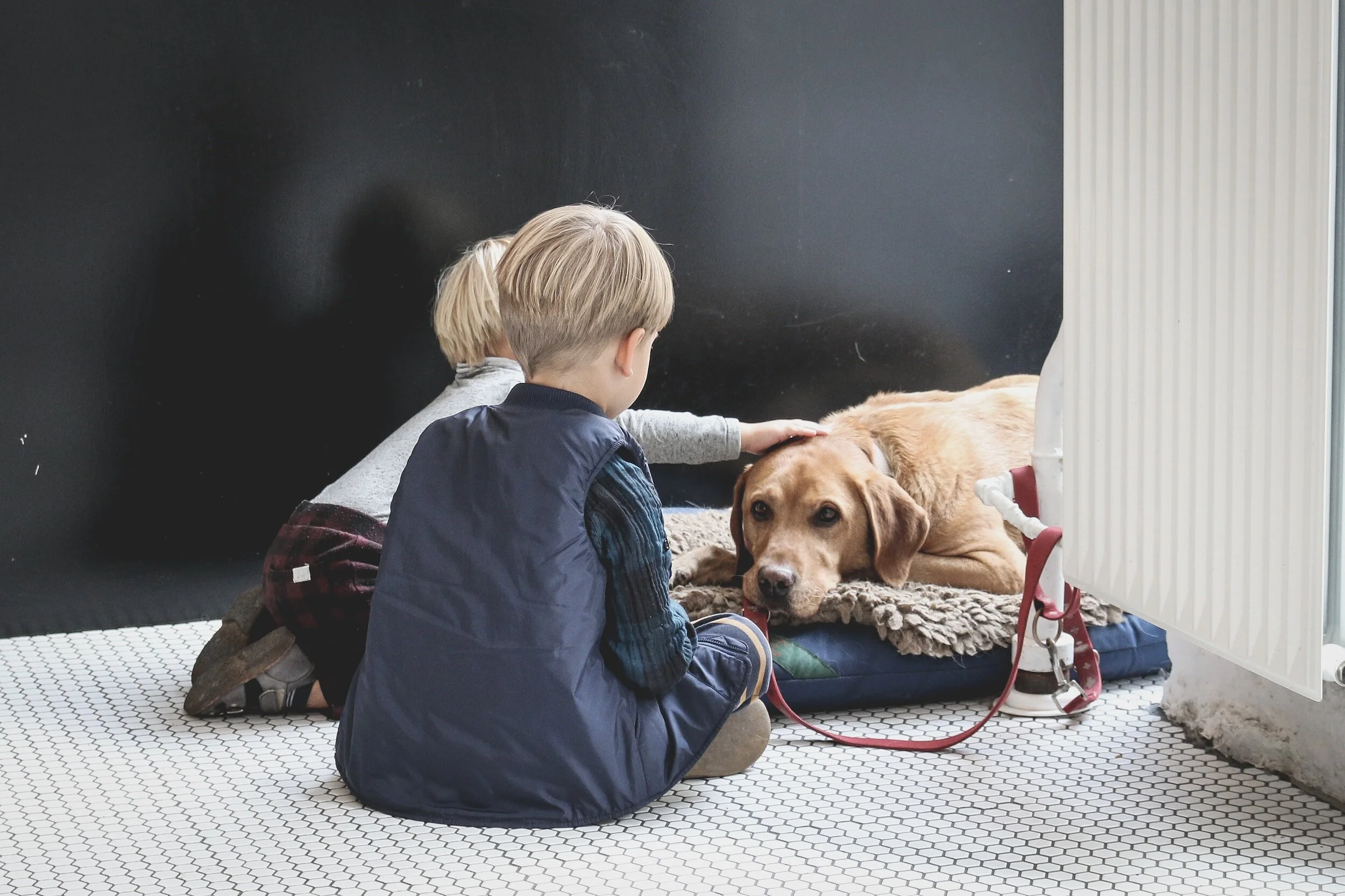 two young boys pet laborador retriever laying on its bed