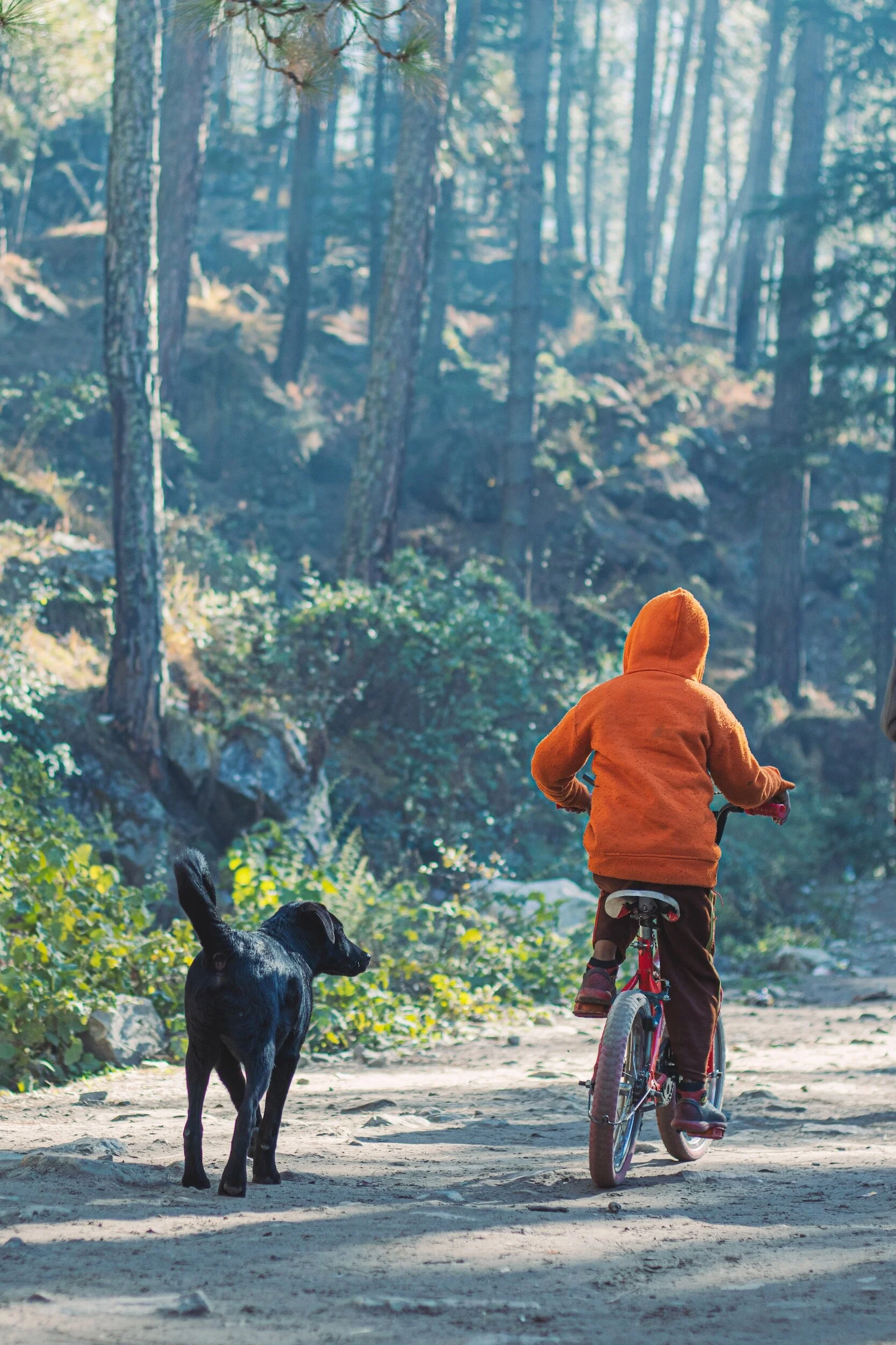 boy riding bike next to his dog on trail