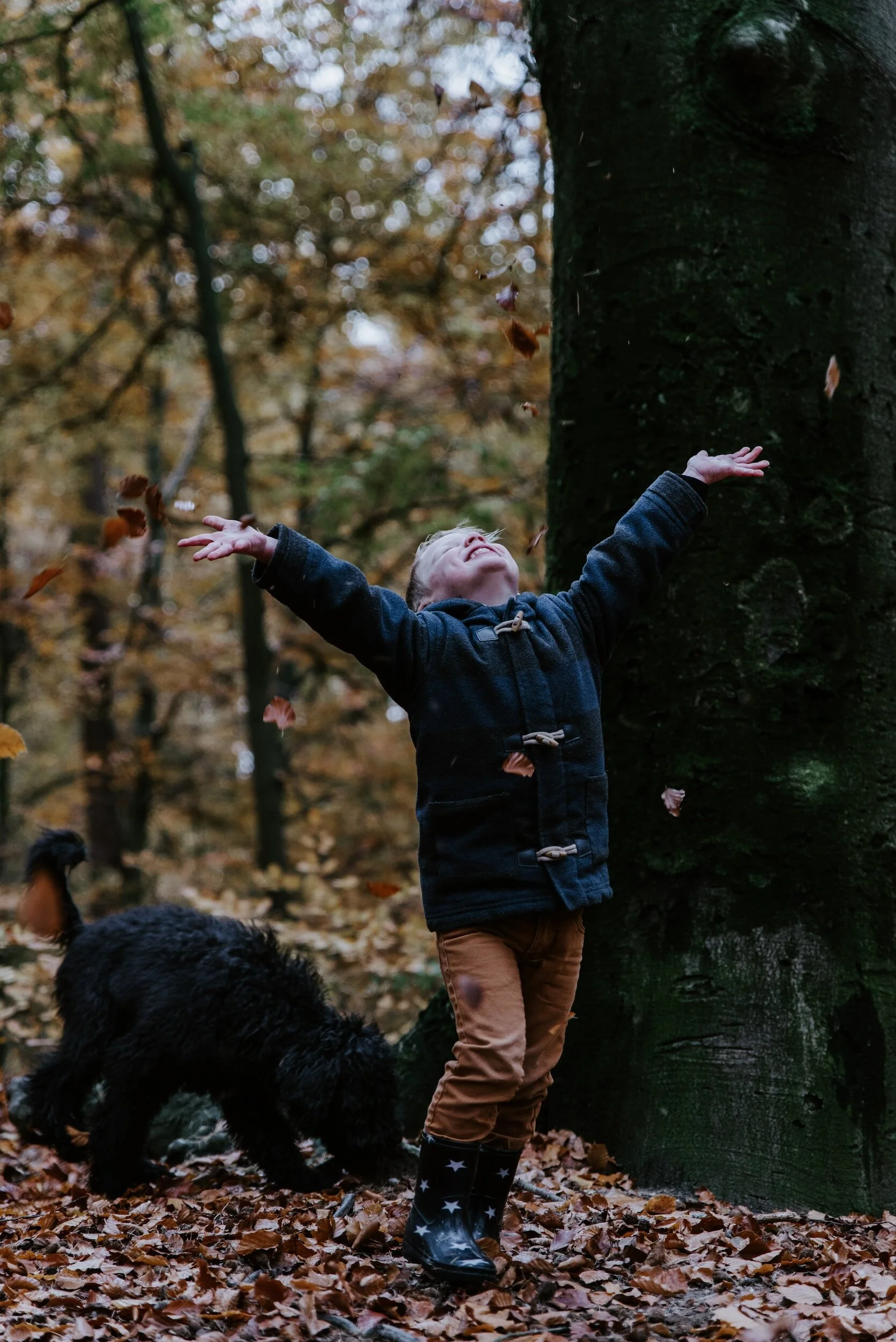 boy playing in the fall leaves with his dog