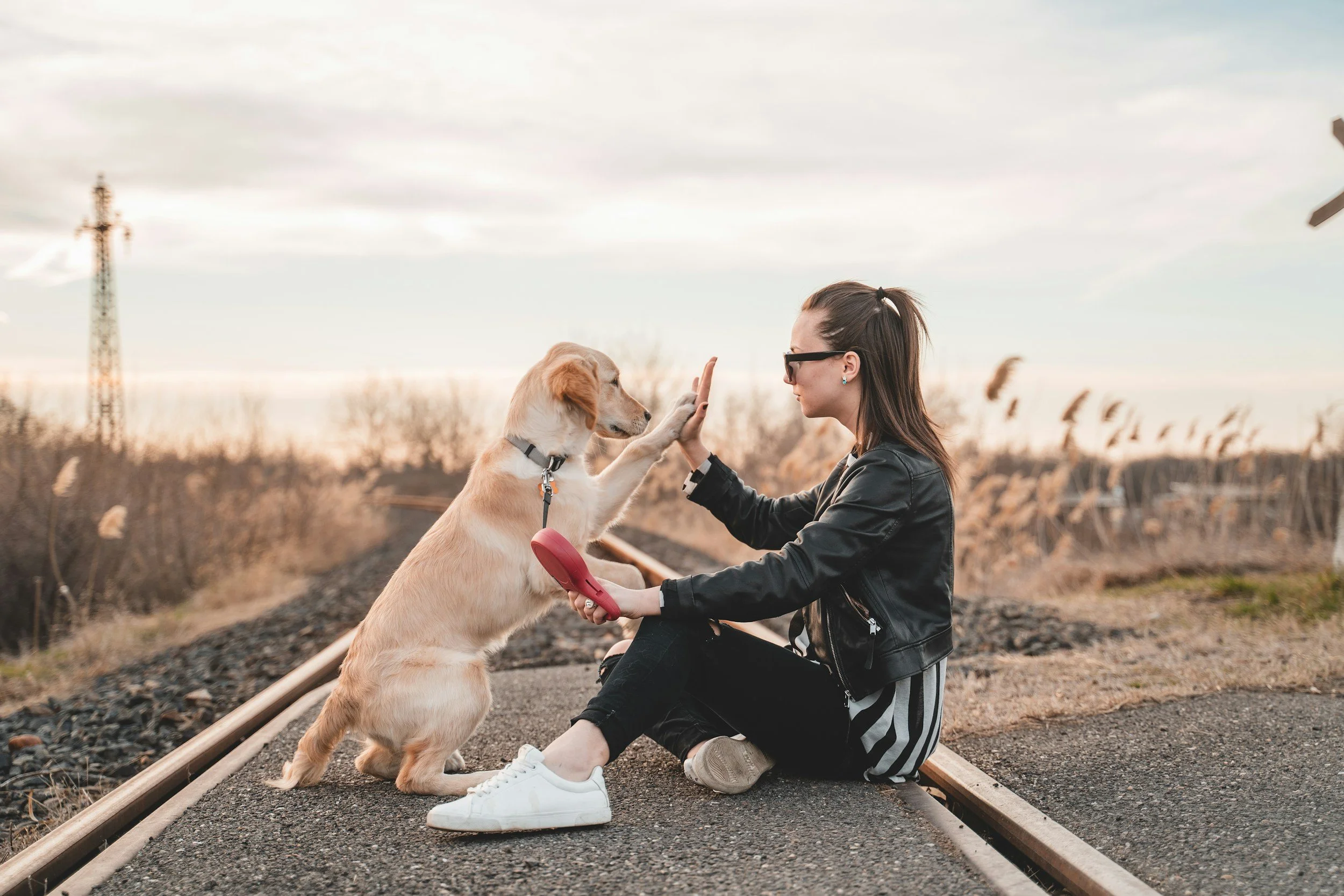 woman and lab high five on train tracks