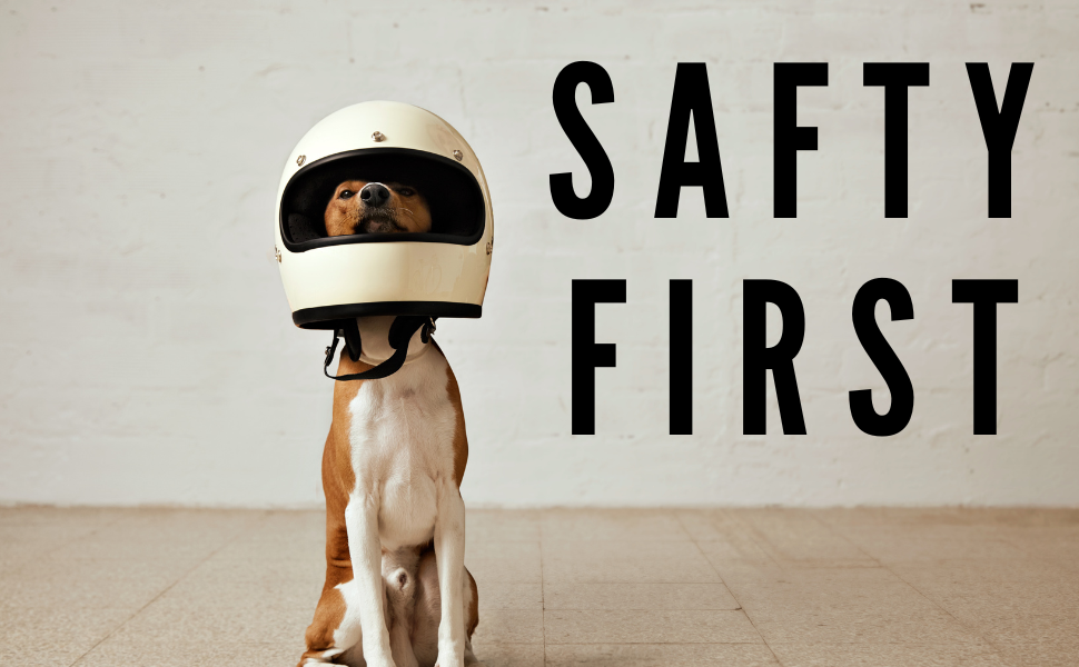 dog with helmet and safety first written next to it
