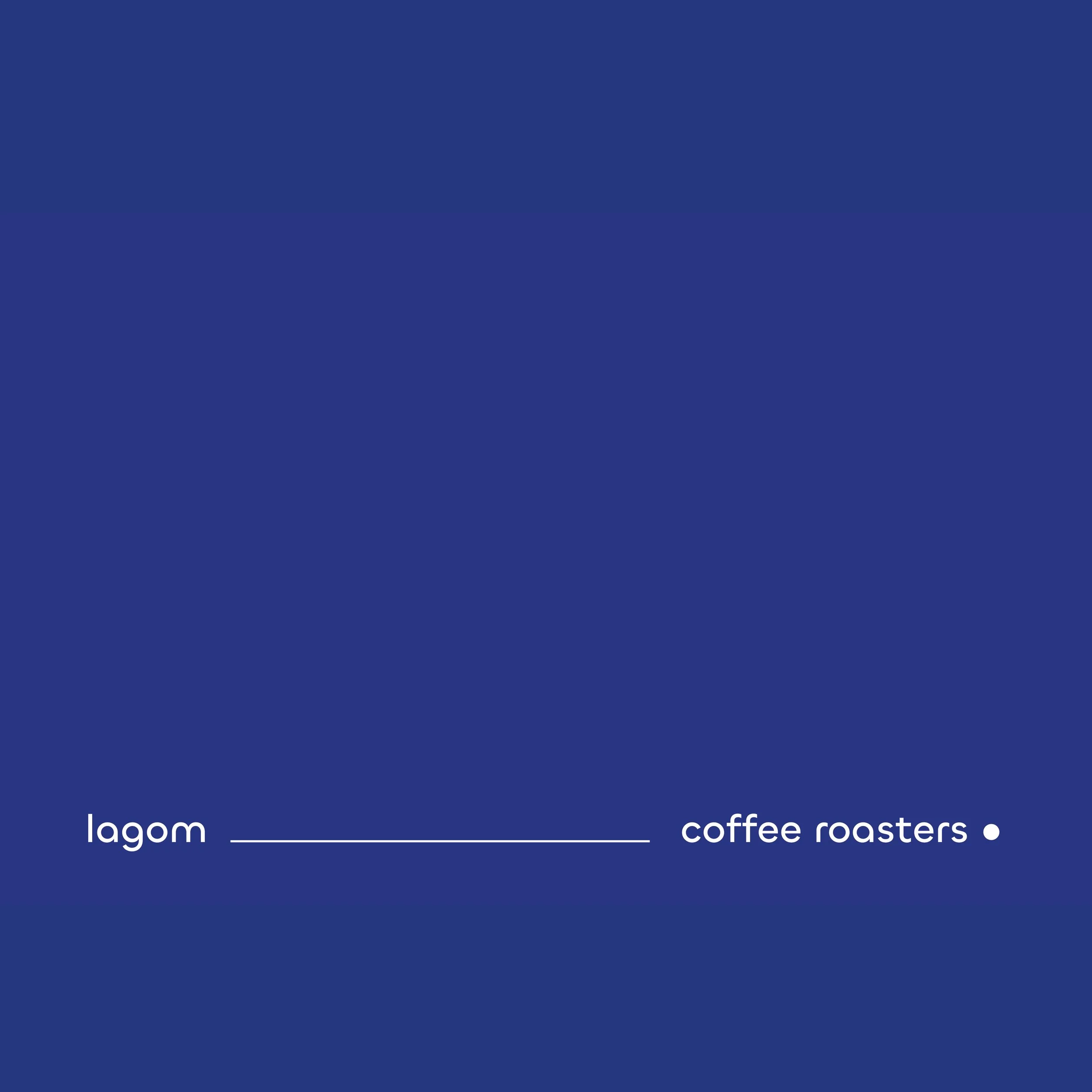 leah-vanderploeg.lagom-coffee-05.jpg