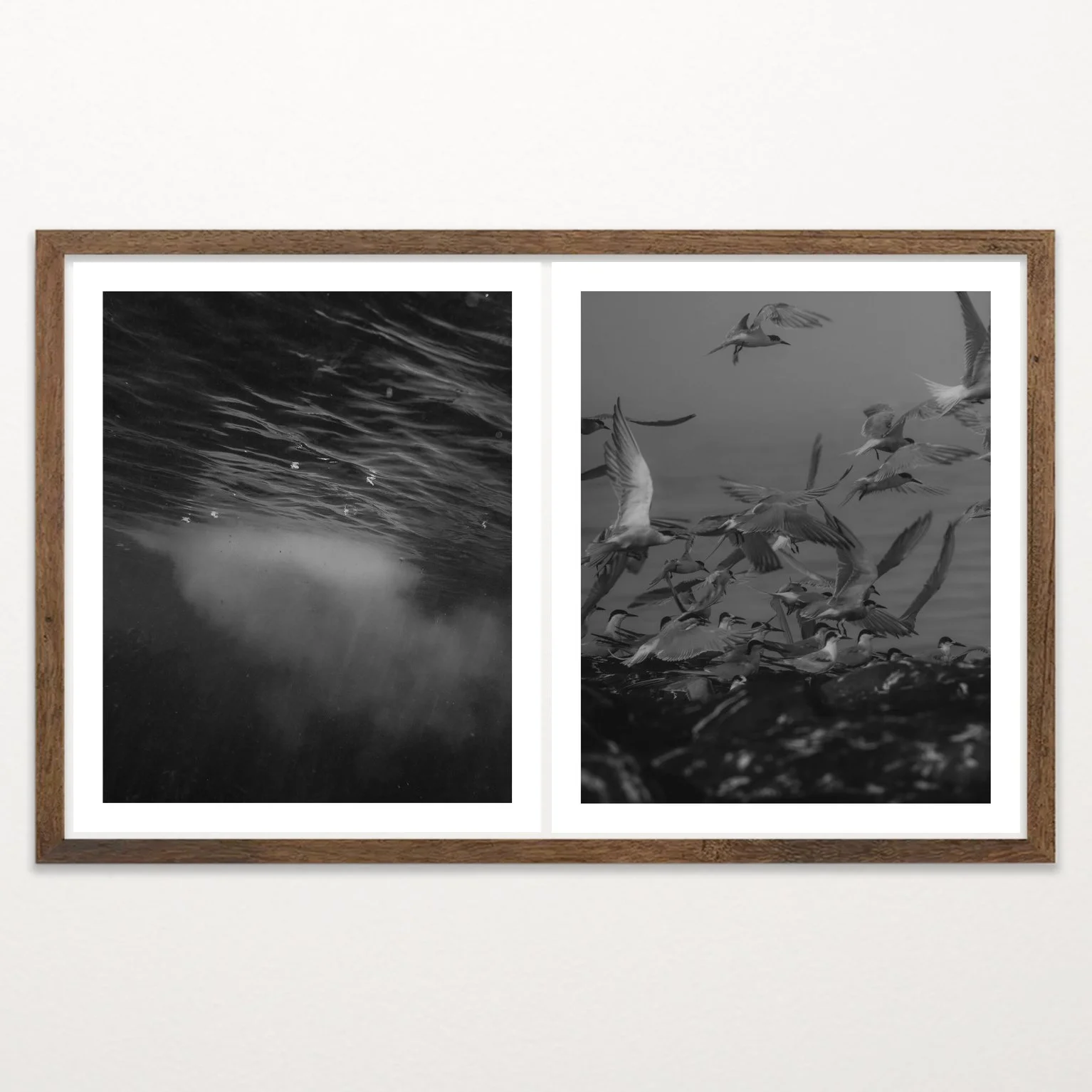 Old Light by Nicolas de Jesus, black and white archival pigment print diptych — dark rippling water paired with a flock of seabirds in flight over rocks