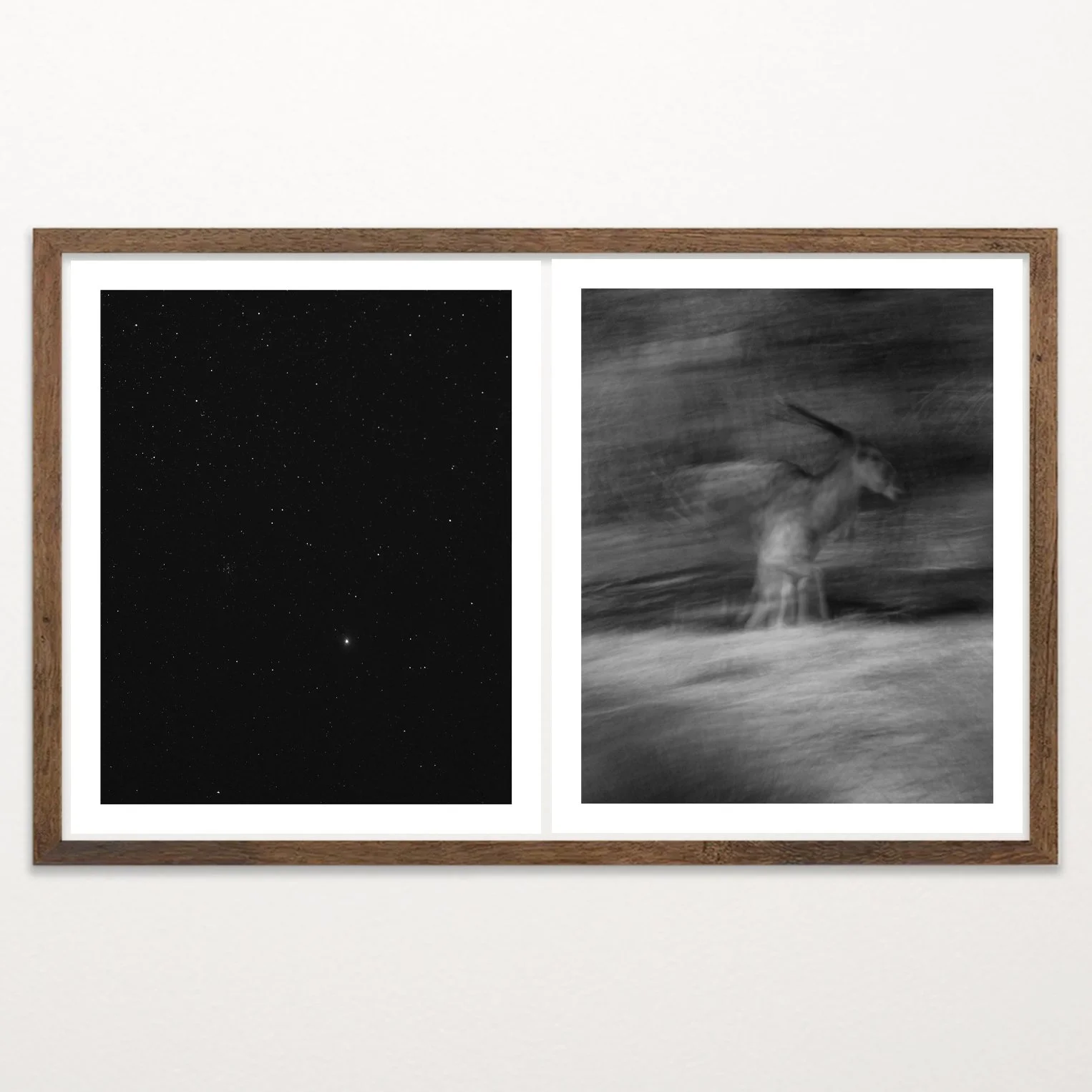 Old Light by Nicolas de Jesus, black and white archival pigment print diptych — a starfield with a bright star paired with an eland phasing through brush