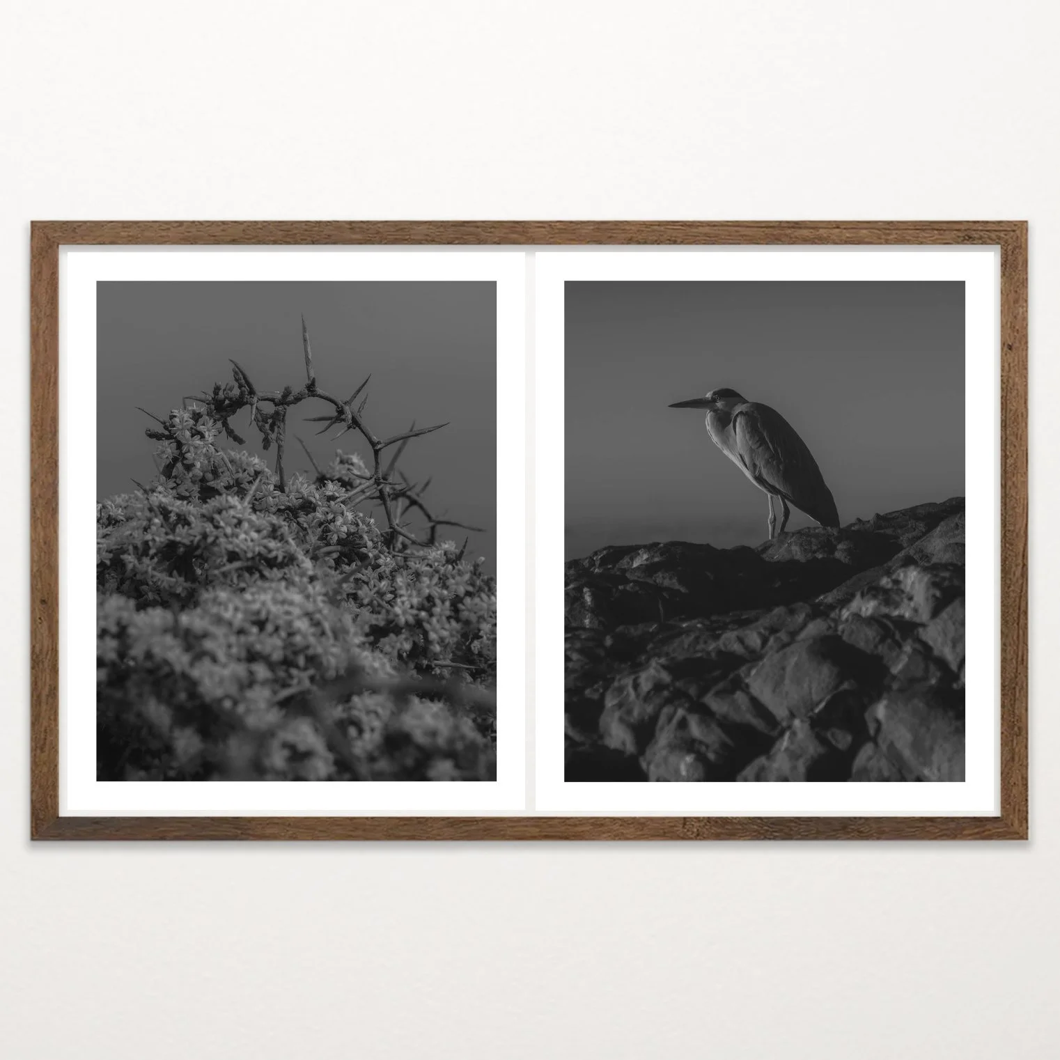 Old Light by Nicolas de Jesus, black and white archival pigment print diptych — thorned branches over wildflowers paired with a heron perched on coastal rocks