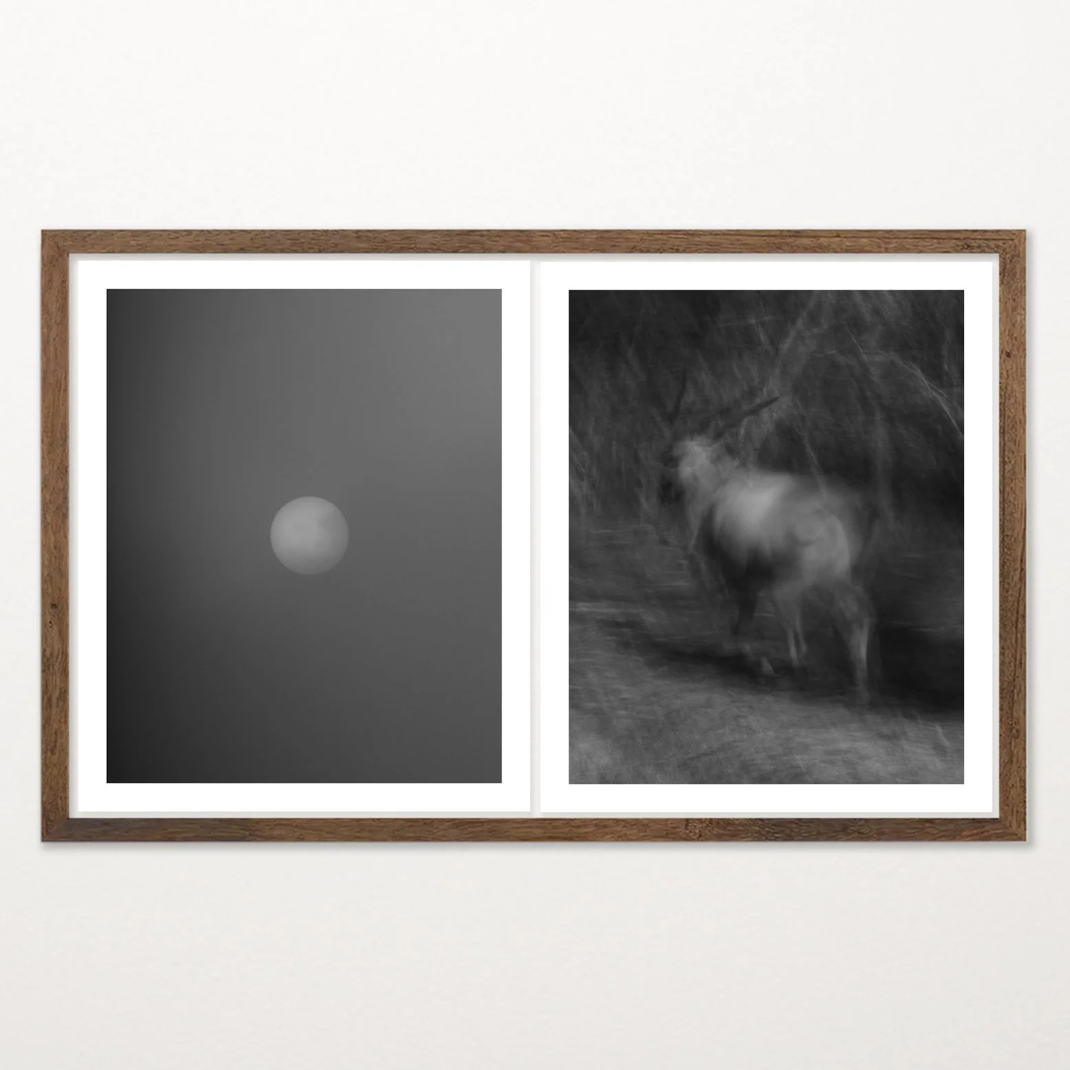 Old Light by Nicolas de Jesus, black and white archival pigment print diptych — a hazy orb in dark sky paired with an eland phasing through brush