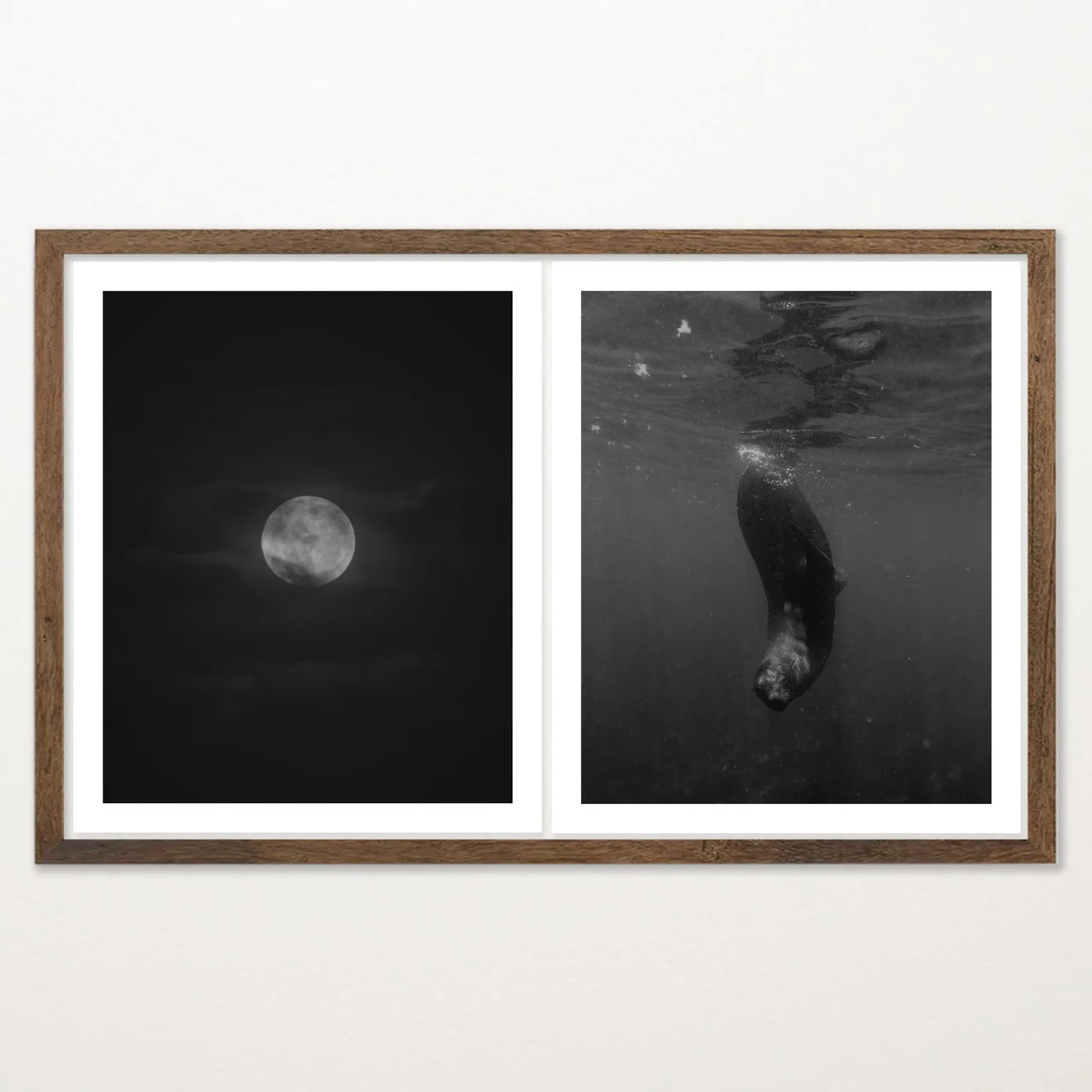 Old Light by Nicolas de Jesus, black and white archival pigment print diptych — a full moon through clouds paired with a seal diving underwater
