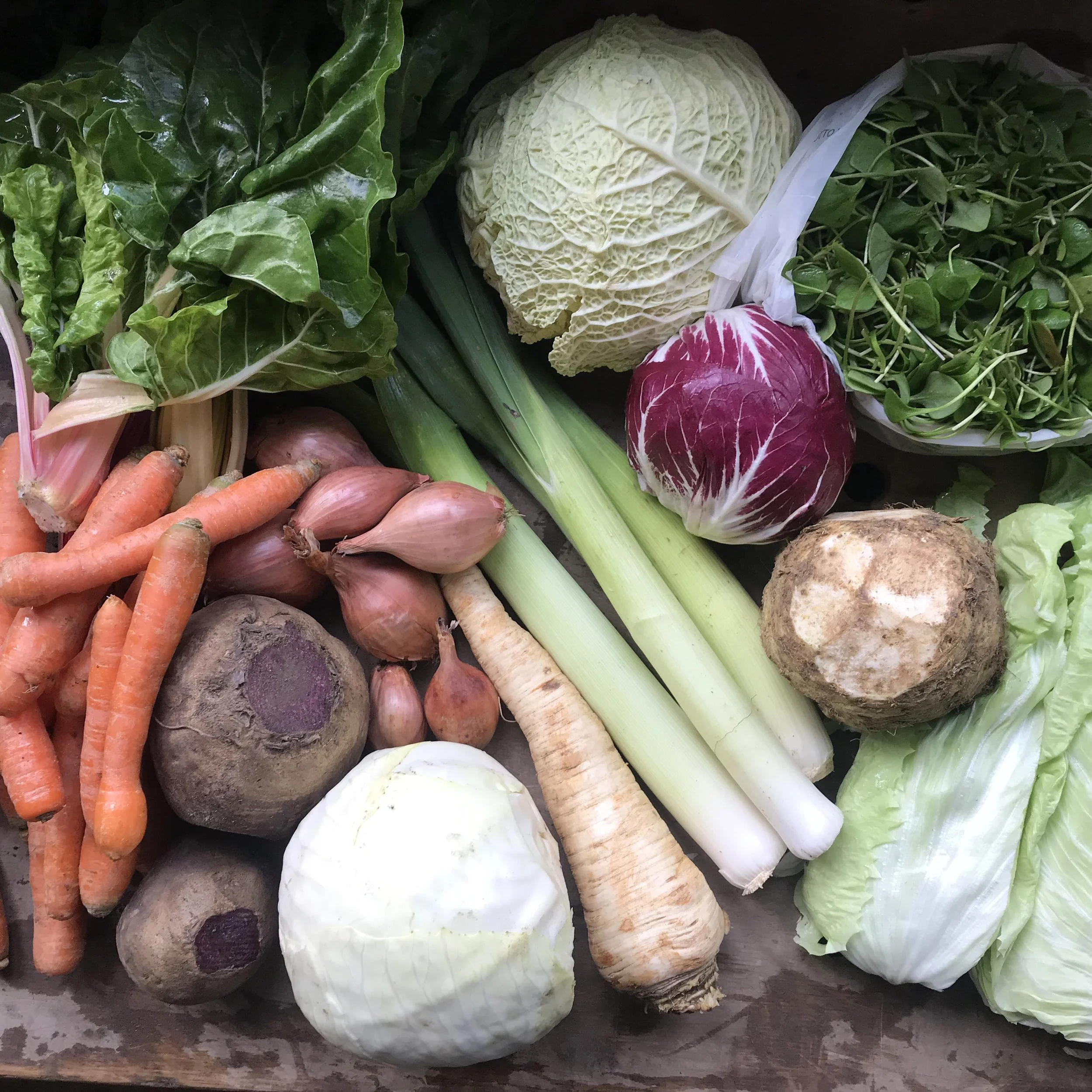 Gemüseabo KW10/2026