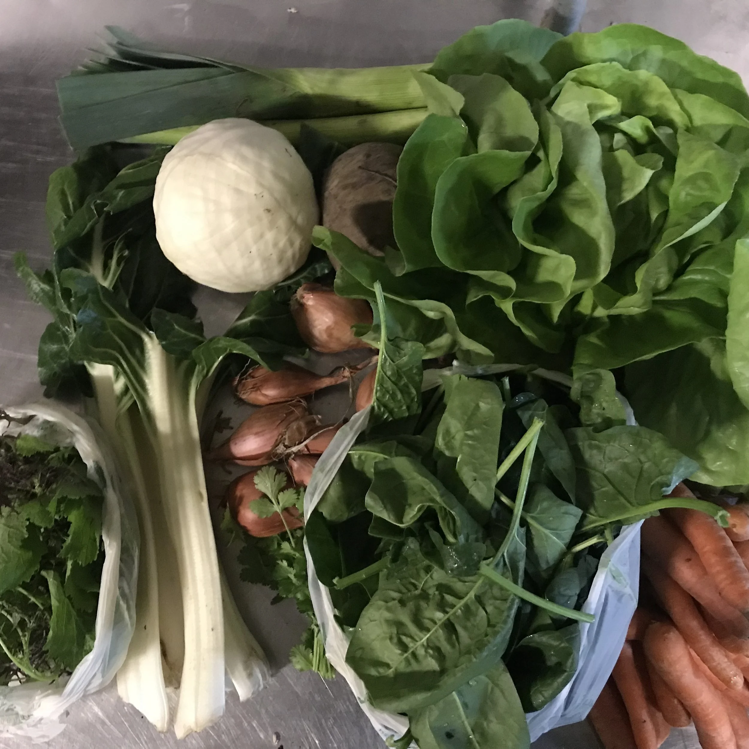 Gemüseabo KW15/2026