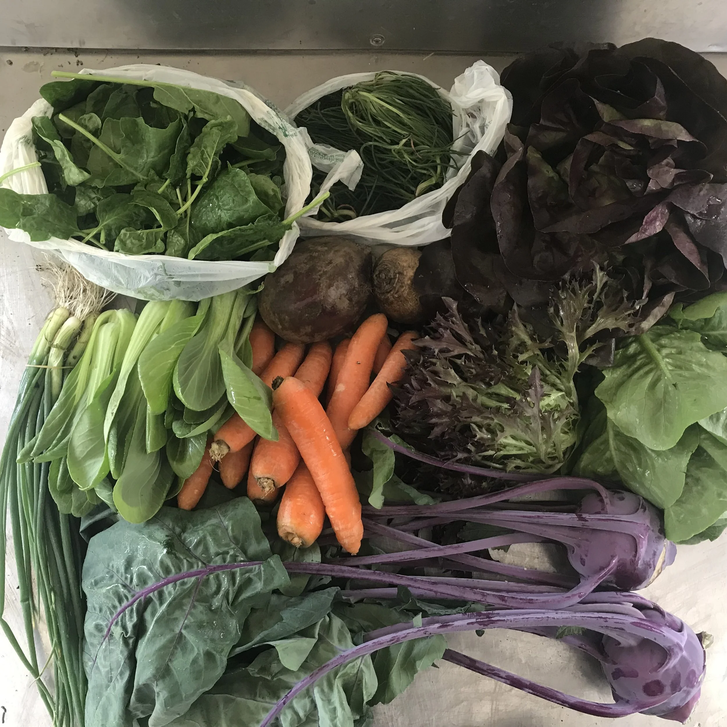 Gemüseabo KW17/2026