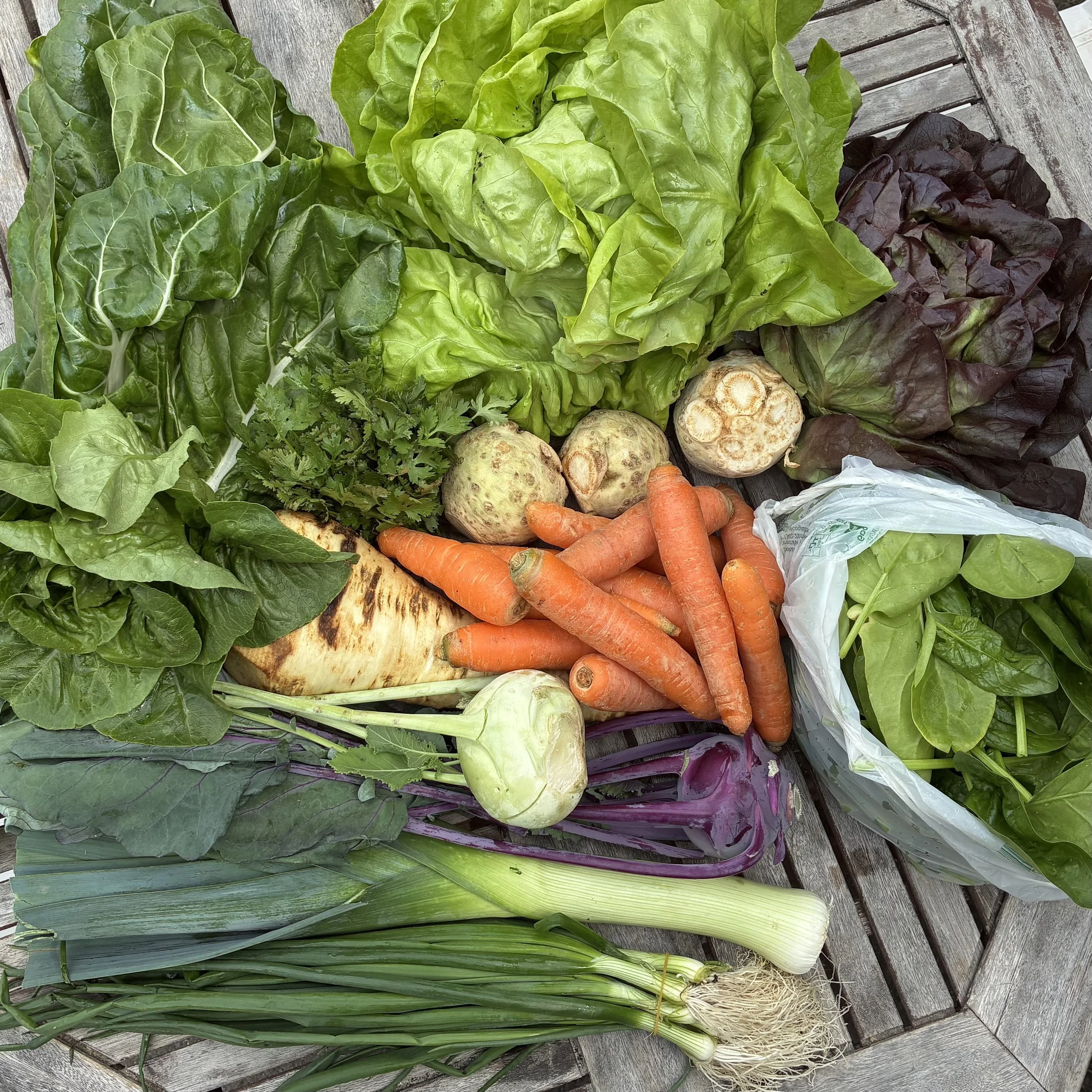 Gemüseabo KW18/2026