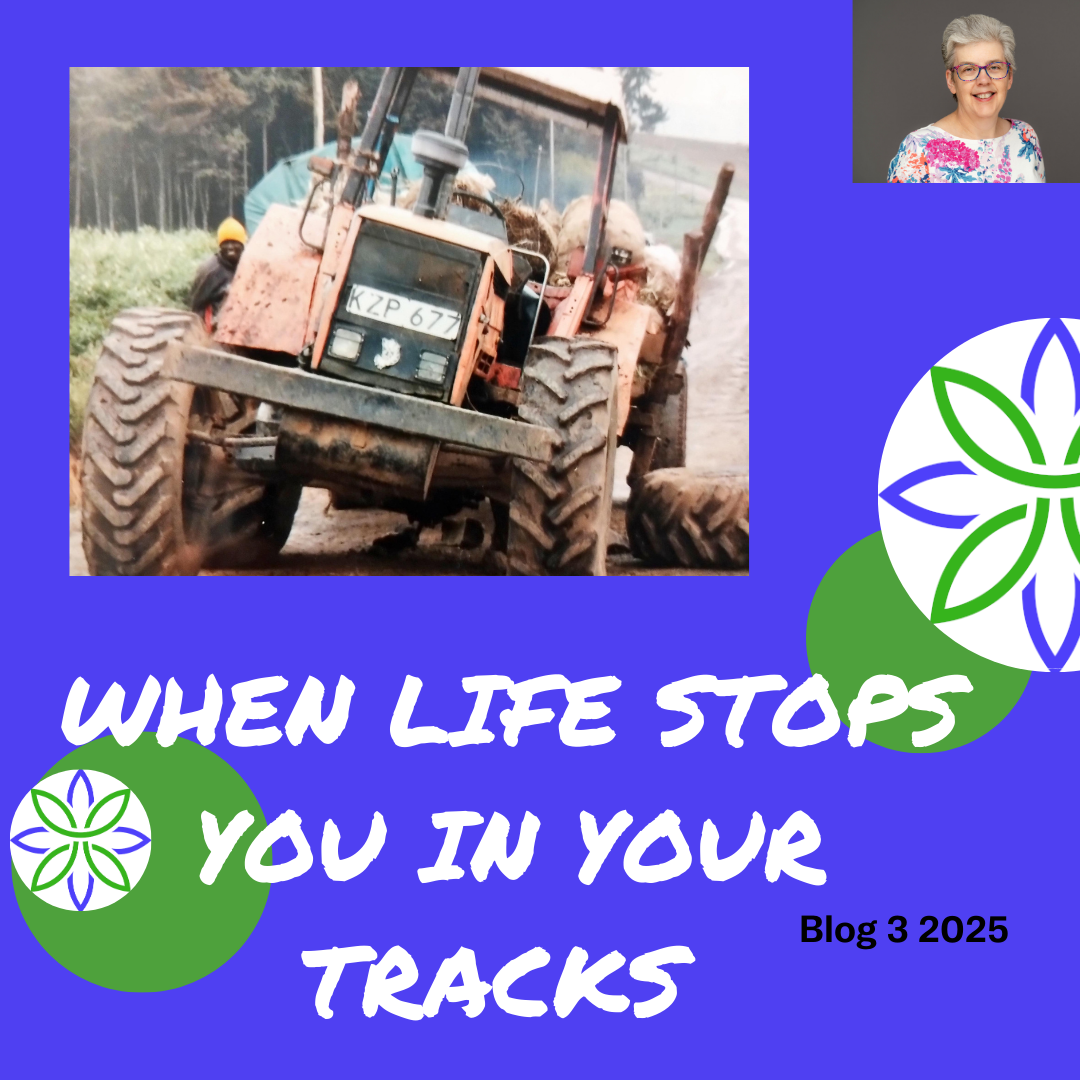 When life stops you in your tracks.
