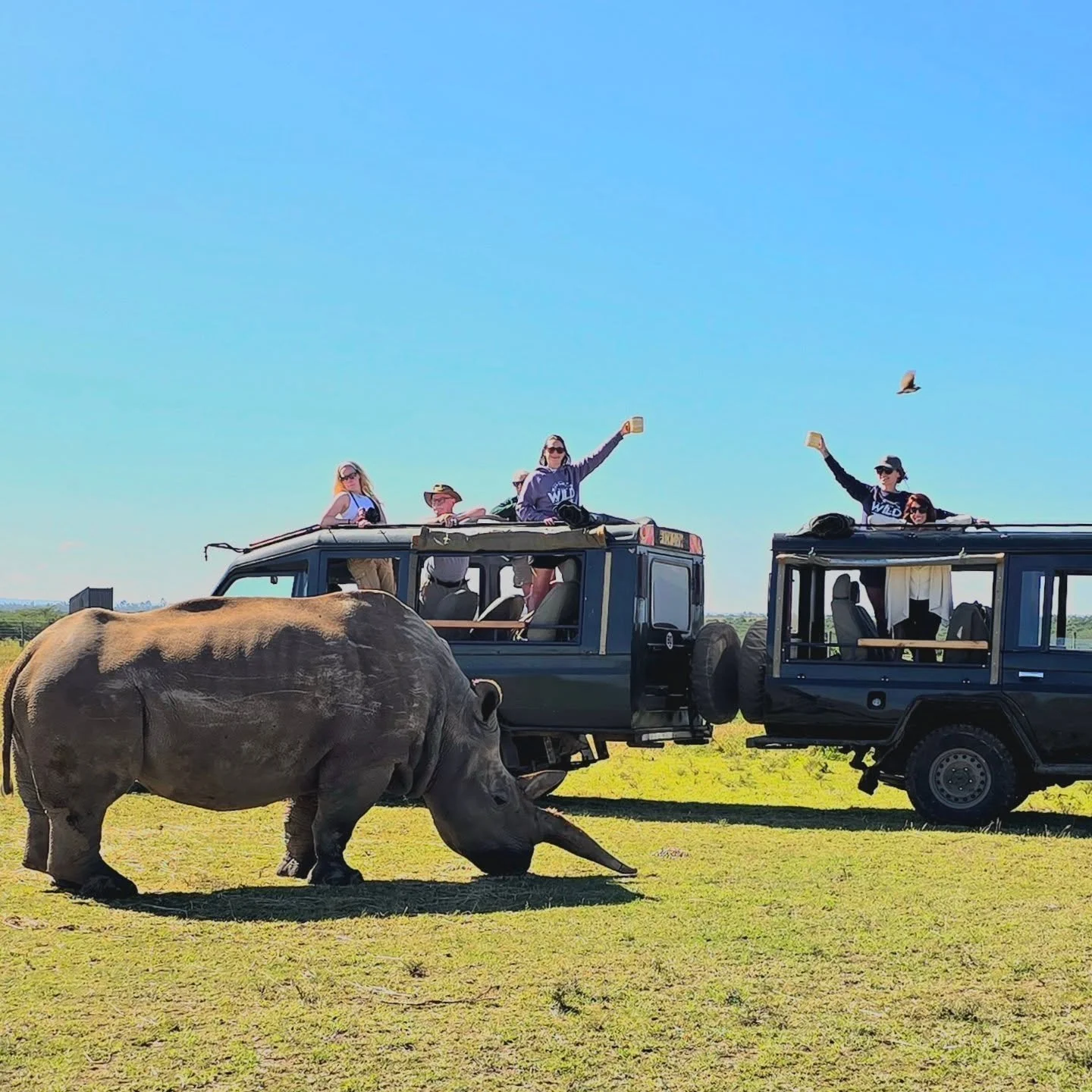 Just back from our 5th @yoga_for_the_wild retreat to Kenya, and forever changed by meeting Najin&mdash;one of the last two northern white rhinos left on Earth. She and her daughter, Fatu, are not just symbols of beauty and resilience, but living proo