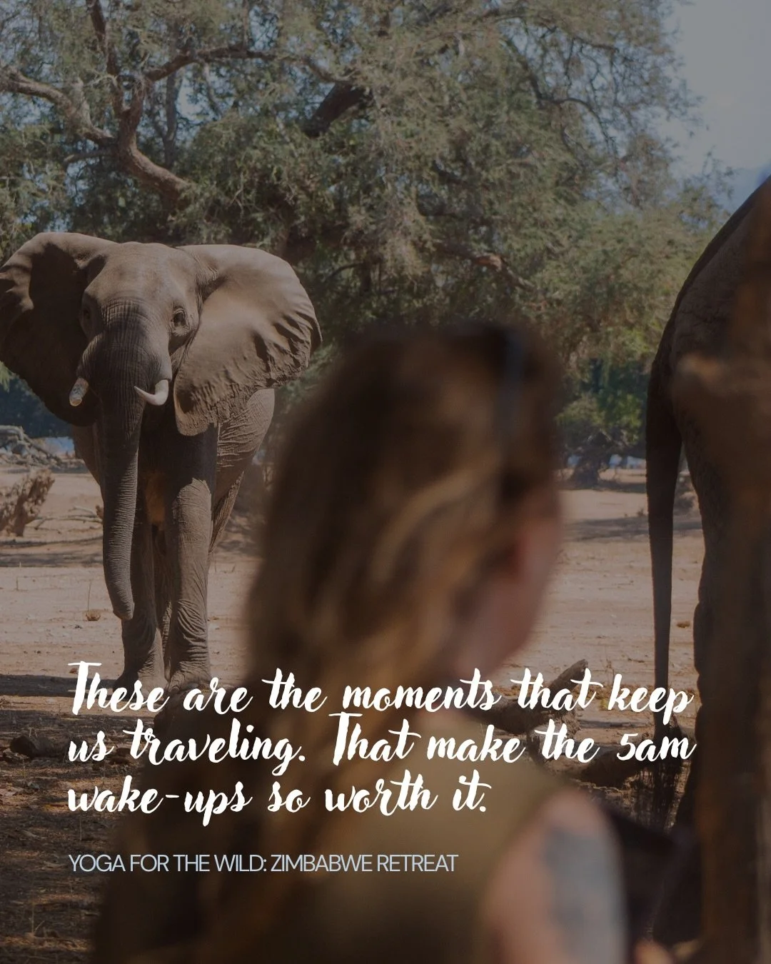 There&rsquo;s always this moment- on every retreat - when you go completely still. Not because you&rsquo;ve been asked to but because an elephant or a lion or a rhino is standing only metres away, watching you. And nothing - not a single thought, wor
