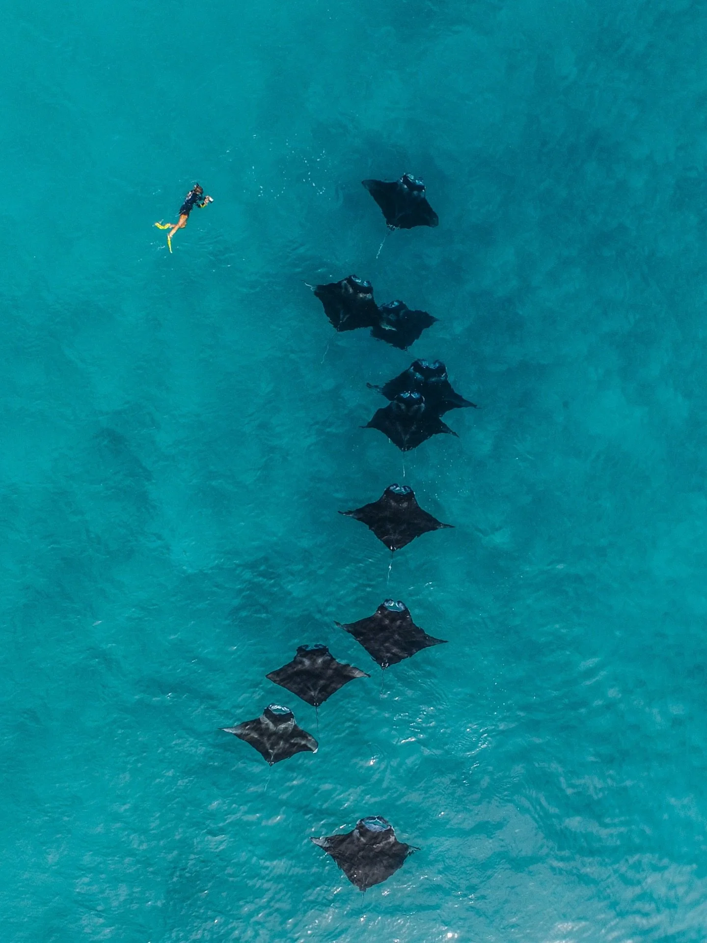 We&rsquo;re going to the Maldives - not to &ldquo;switch off&rdquo; (that&rsquo;ll happen anyway) but to pay better attention 💙 

In November 2026, we&rsquo;ll be sailing the northern atolls aboard a private live-aboard through the Baa and Raa Atoll