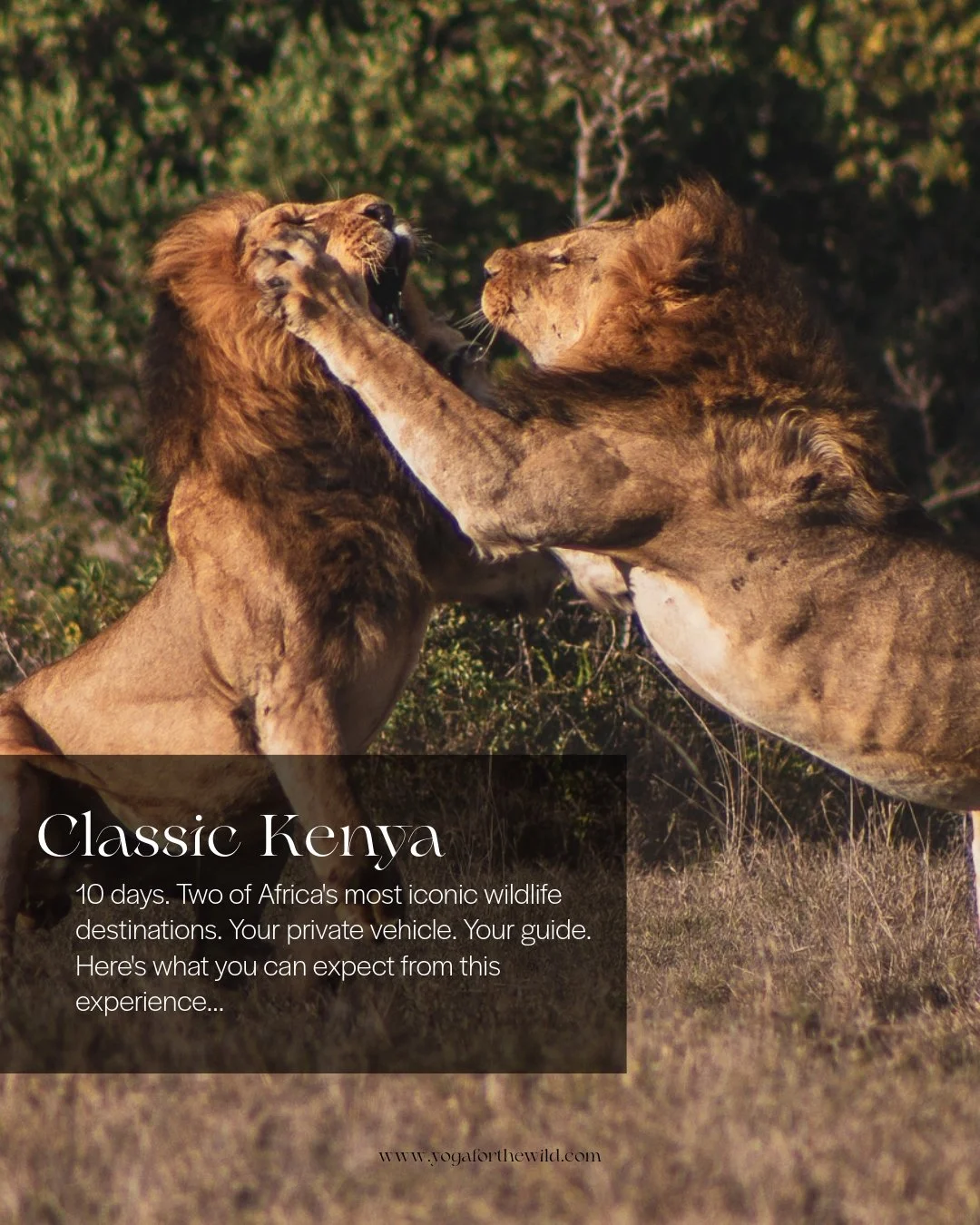 We started running group retreats because we love the magic that happens when strangers become a community in the wilderness, and the power this community creates for positive change is incredible. 

But we also know that some trips are better taken 