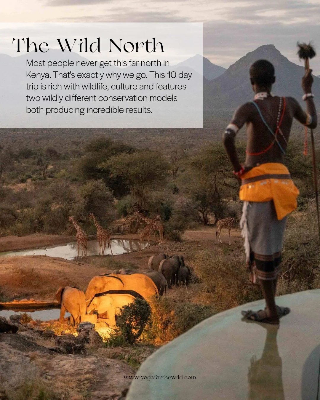 There are two Kenyas.

The Kenya of the Masai Mara &mdash; famous, extraordinary, rightly celebrated. And the Kenya of the far north &mdash; vast, dramatic, almost entirely unknown to international visitors, and home to some of the most inspiring con