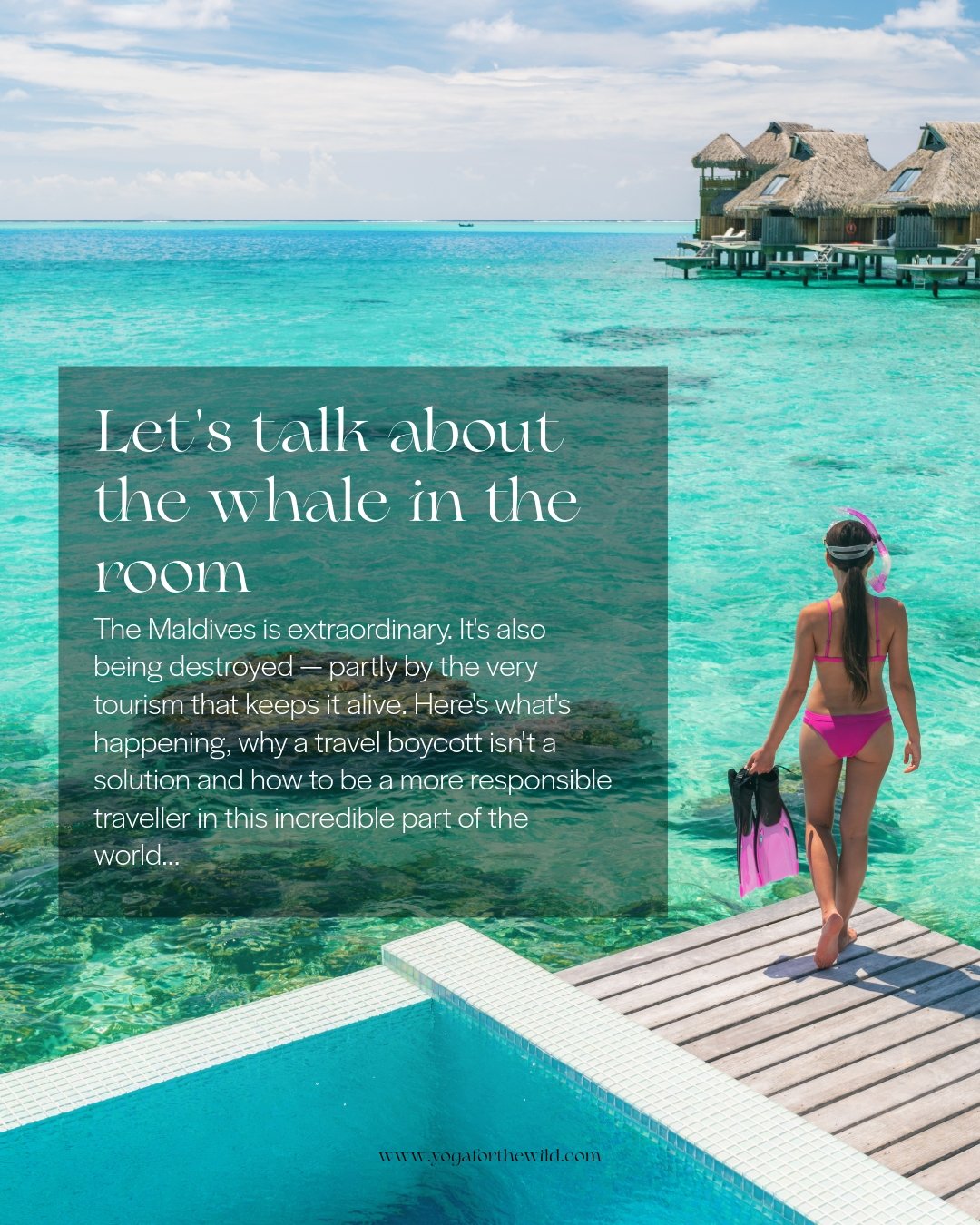 The Maldives is possibly one of the most beautiful places on Earth (we're a bit biased, but it really is!) But, as it's so well known for it's resorts, we receive so many questions about ethical travel here! We're covering some of those questions tod