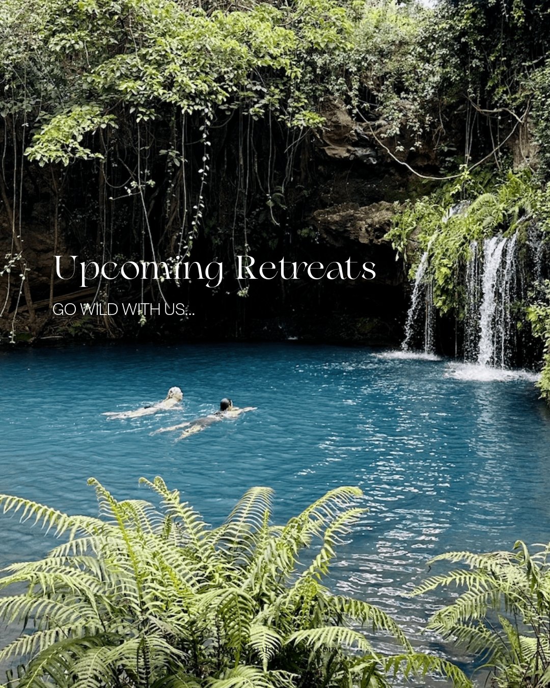 We've got availability on three incredible, wild retreats and we just KNOW you're going to love them!!!! 

In the meantime, practice with us online every Thursday and on the last Sunday of every month and please oh please make sure you're signed up f