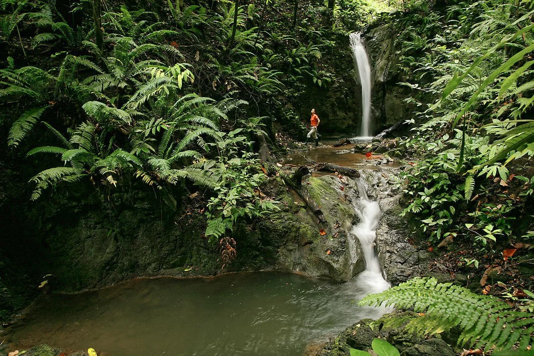 costa_rica_yoga_retreat_waterfall.jpg