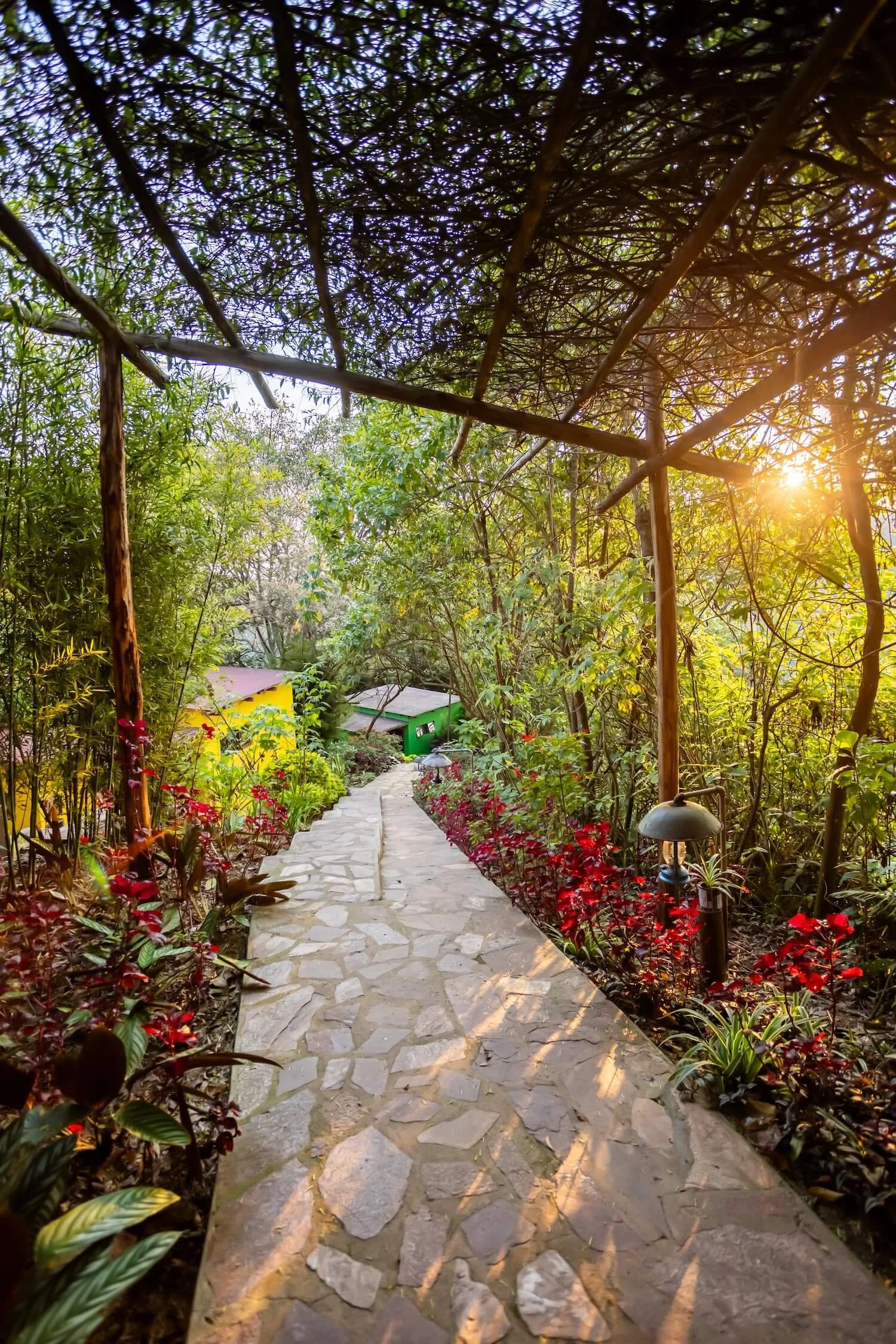 Uganda_Gorillas_Yoga_Retreat_walkway.jpg